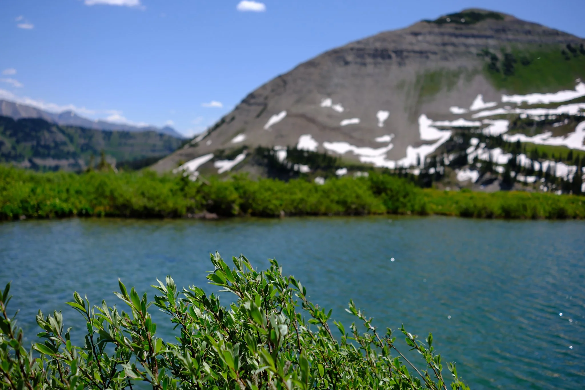 DSCF7519.jpg