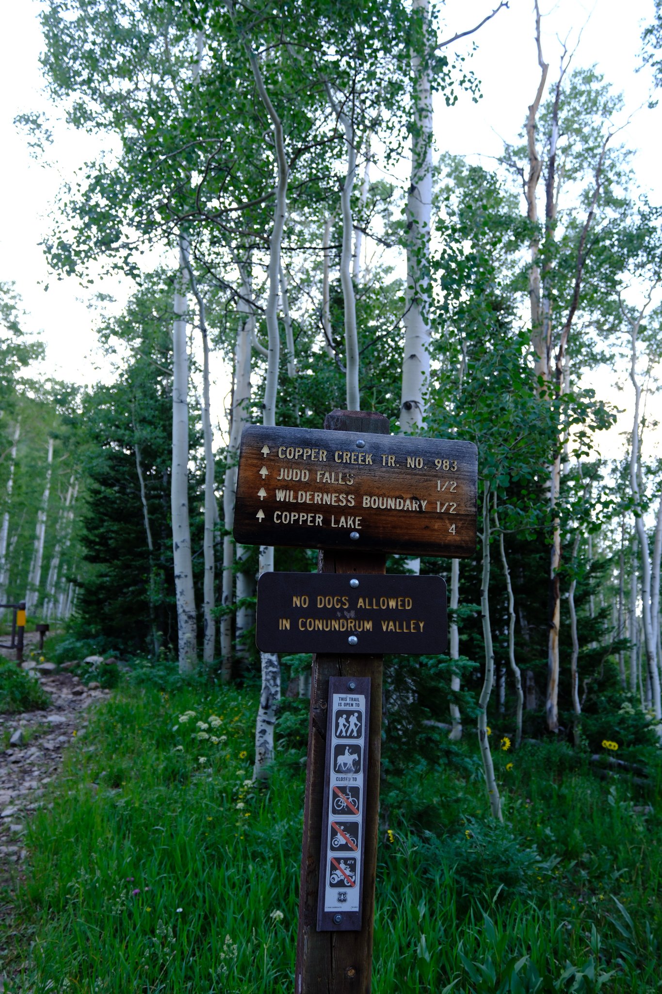 DSCF8077.jpg