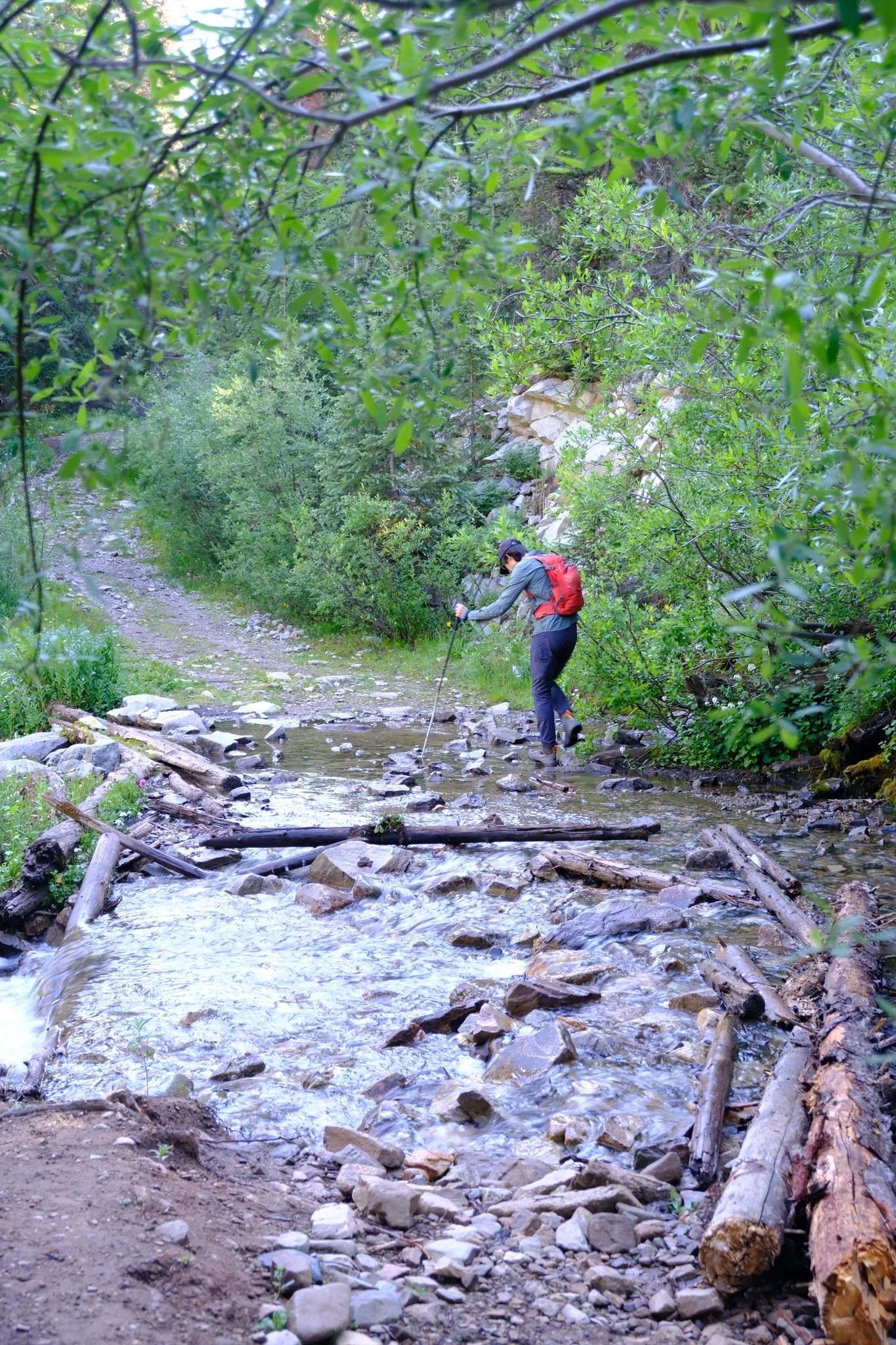 DSCF8108.jpg