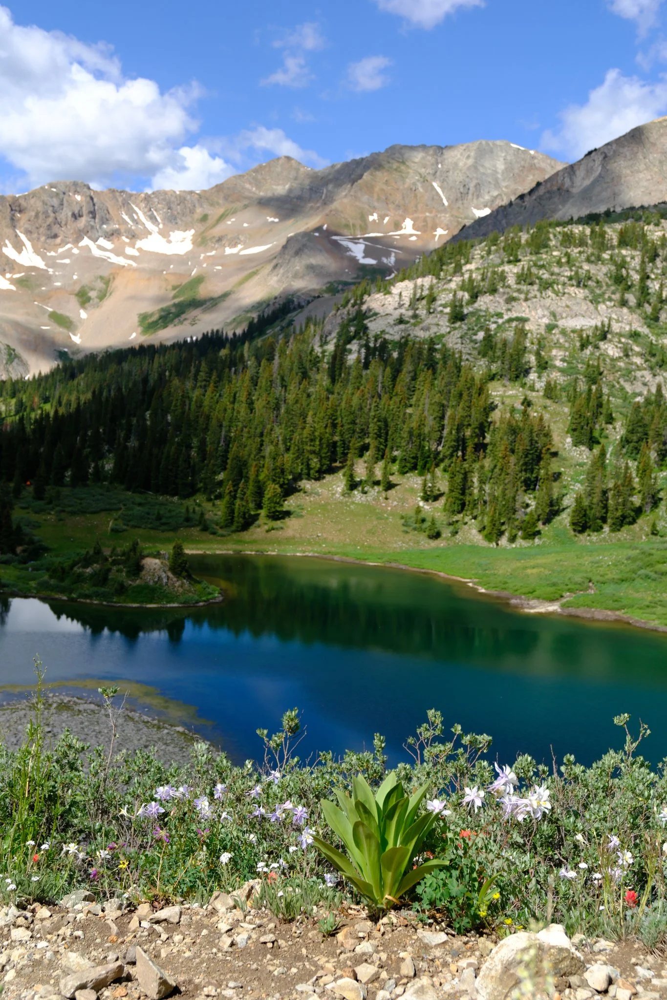 DSCF8148.jpg
