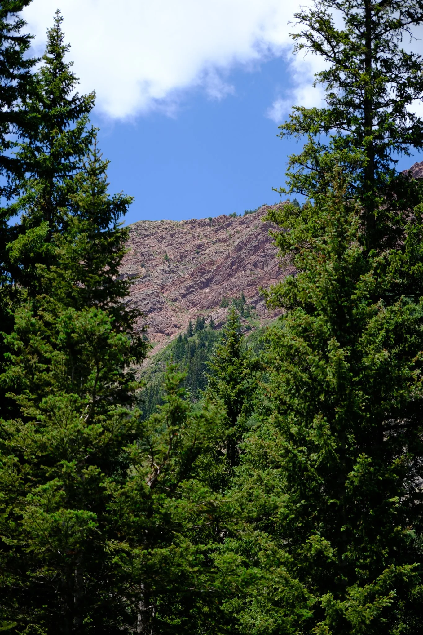 DSCF8233.jpg