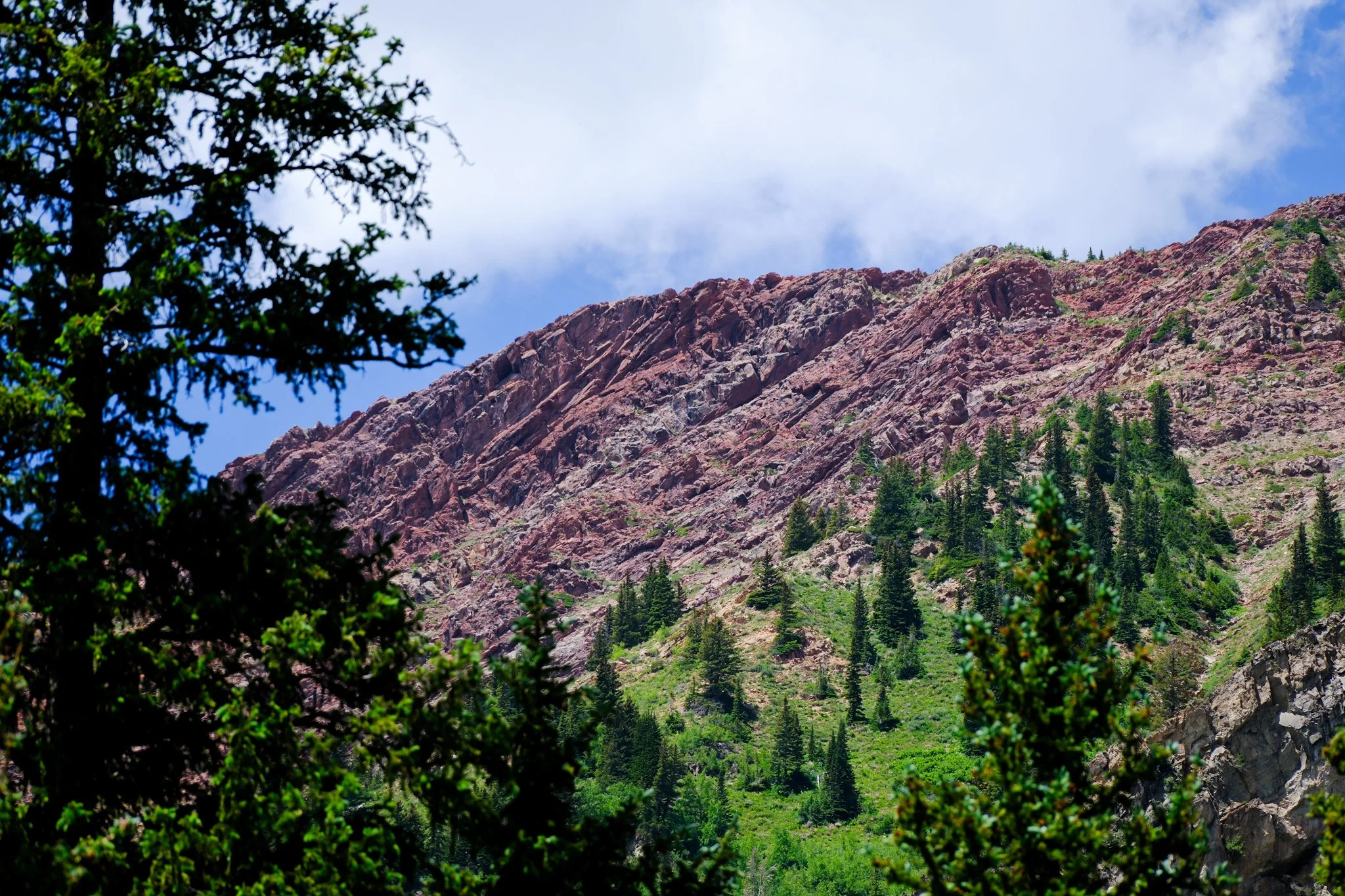 DSCF8235.jpg