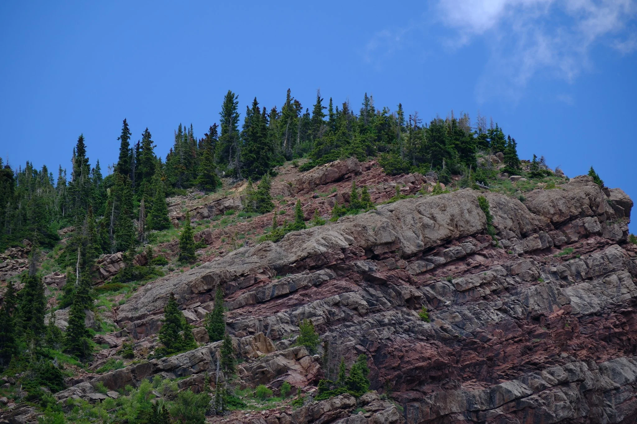 DSCF8245.jpg