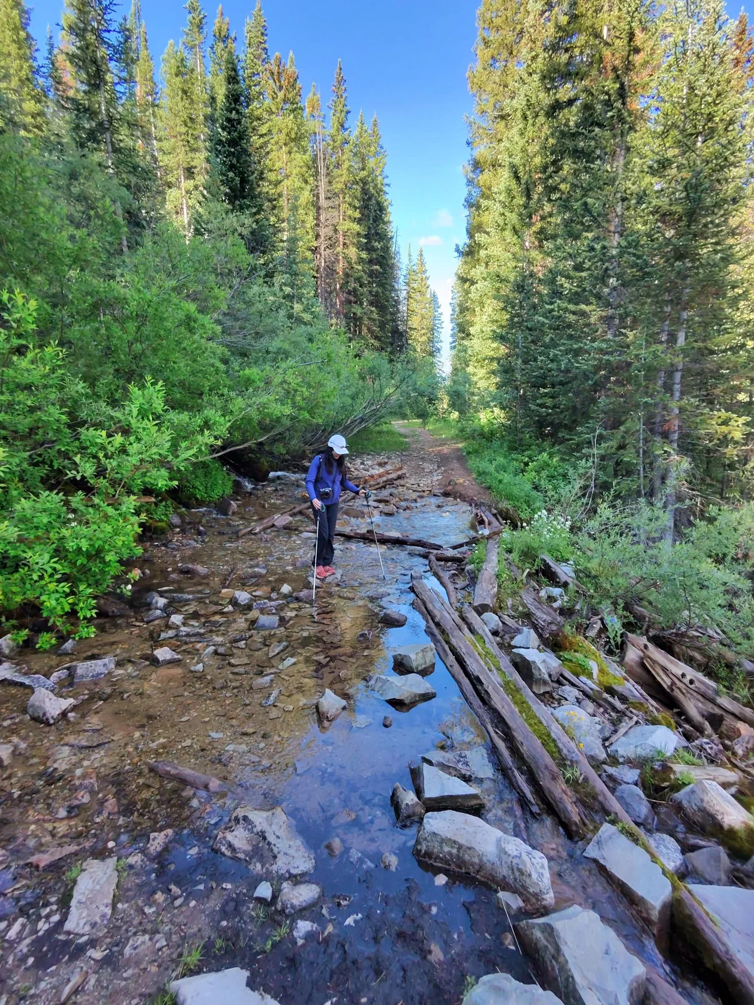 HEIF Image-44C1-9FD7-B5-11.jpg