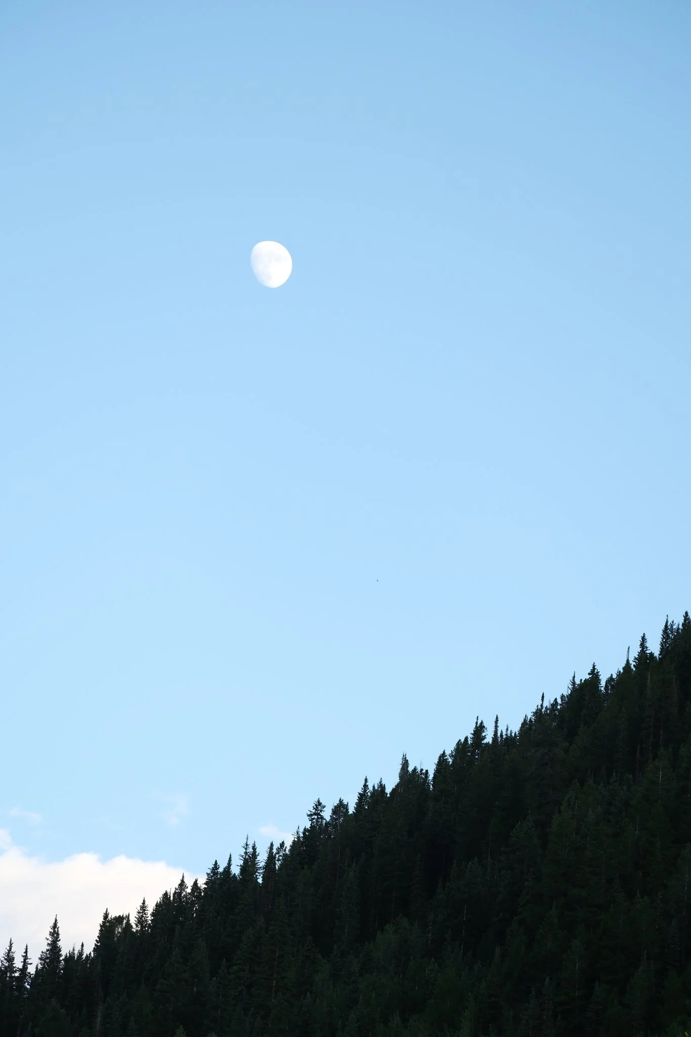 DSCF8436.jpg