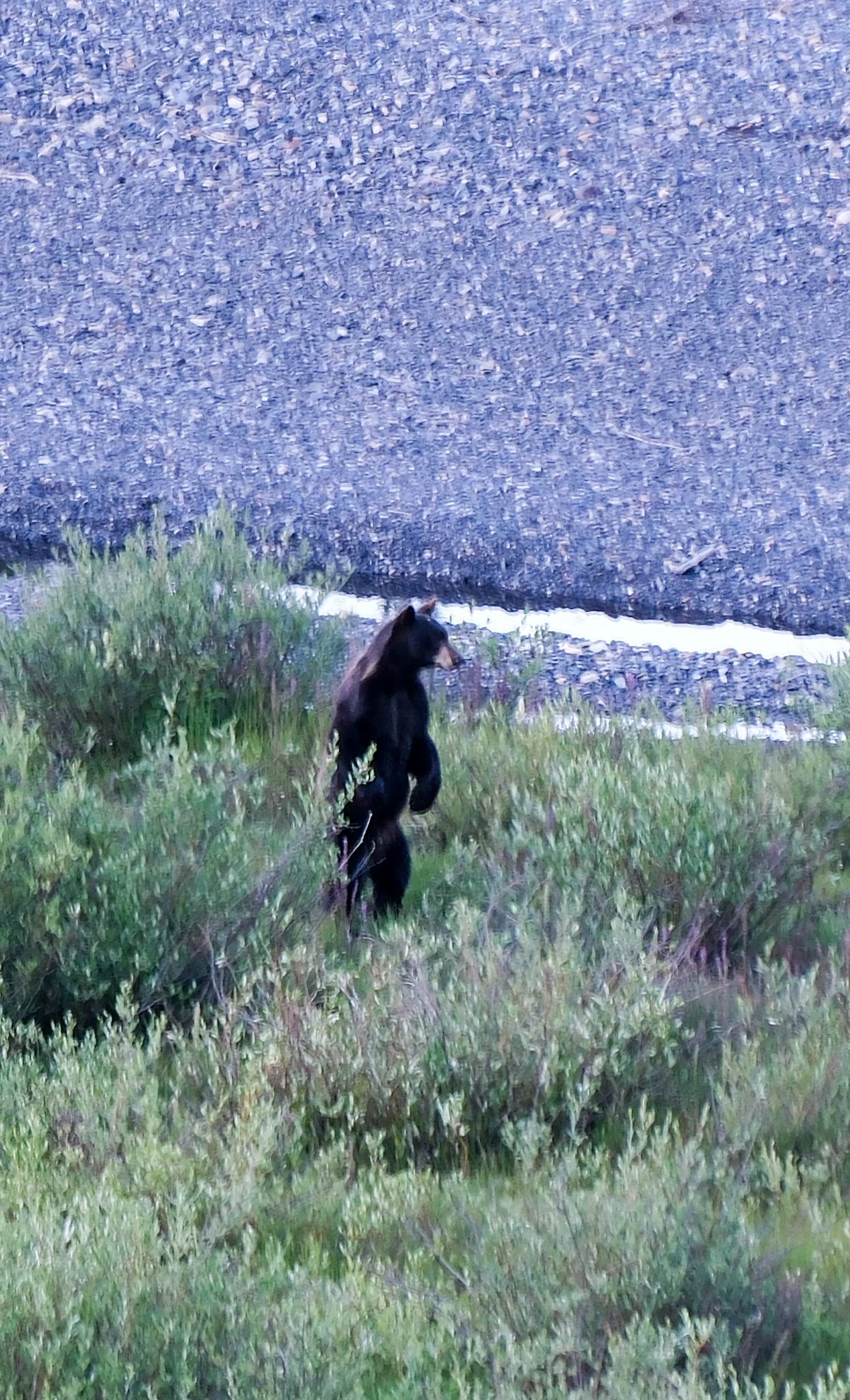 DSCF8472.jpg