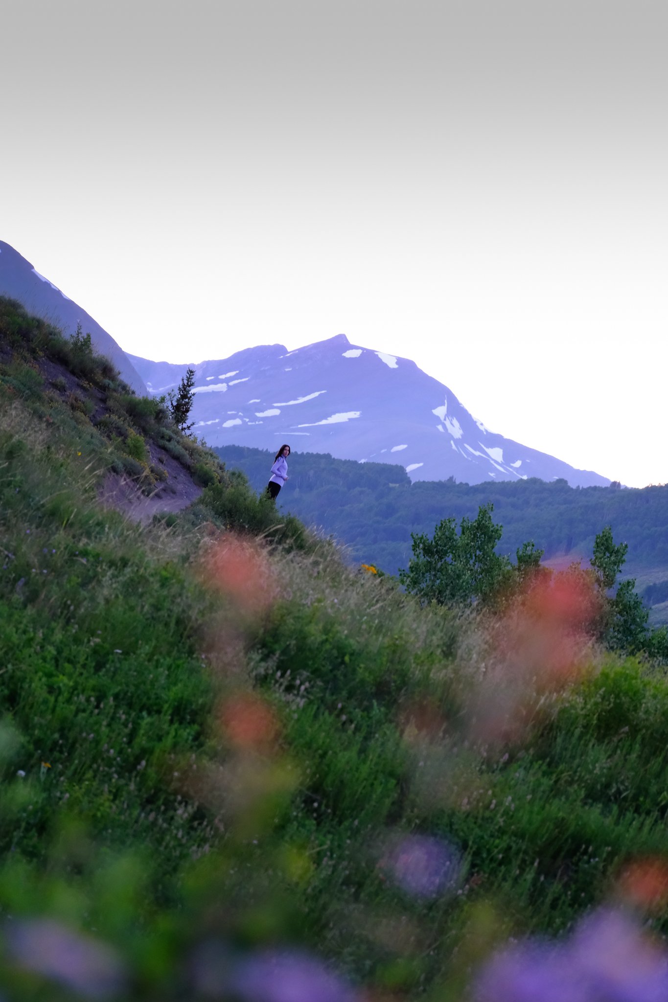 DSCF8539.jpg