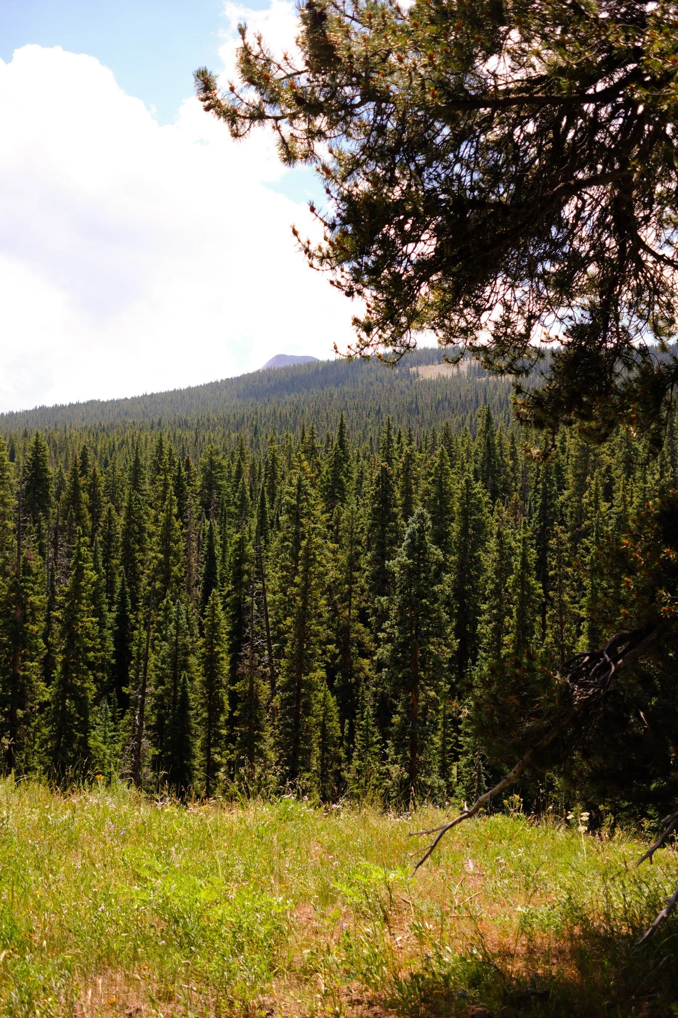 DSCF9191.jpg