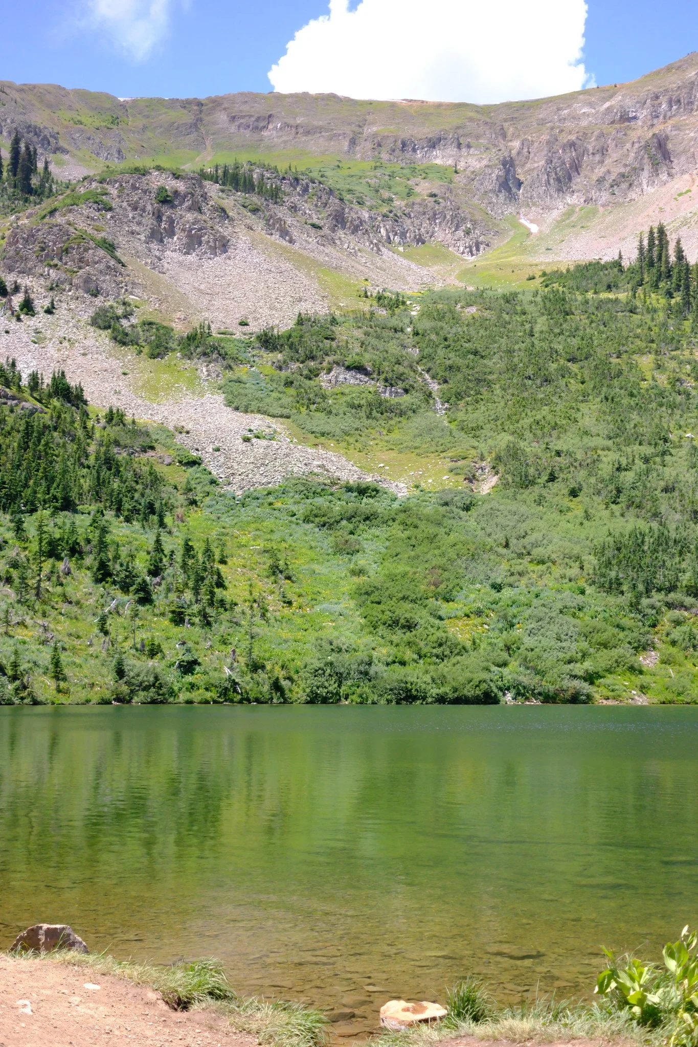DSCF9215.jpg