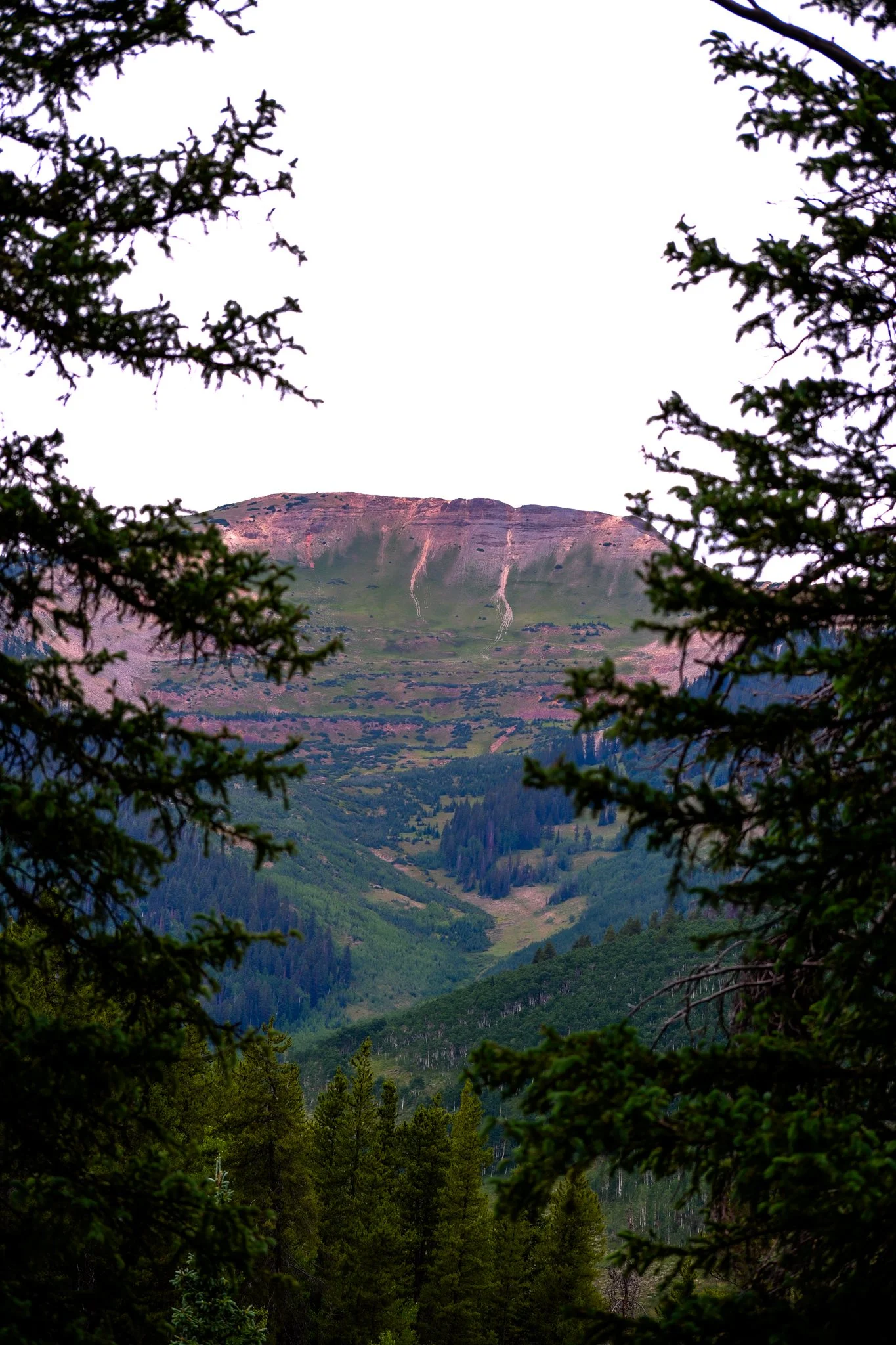DSCF9314.jpg