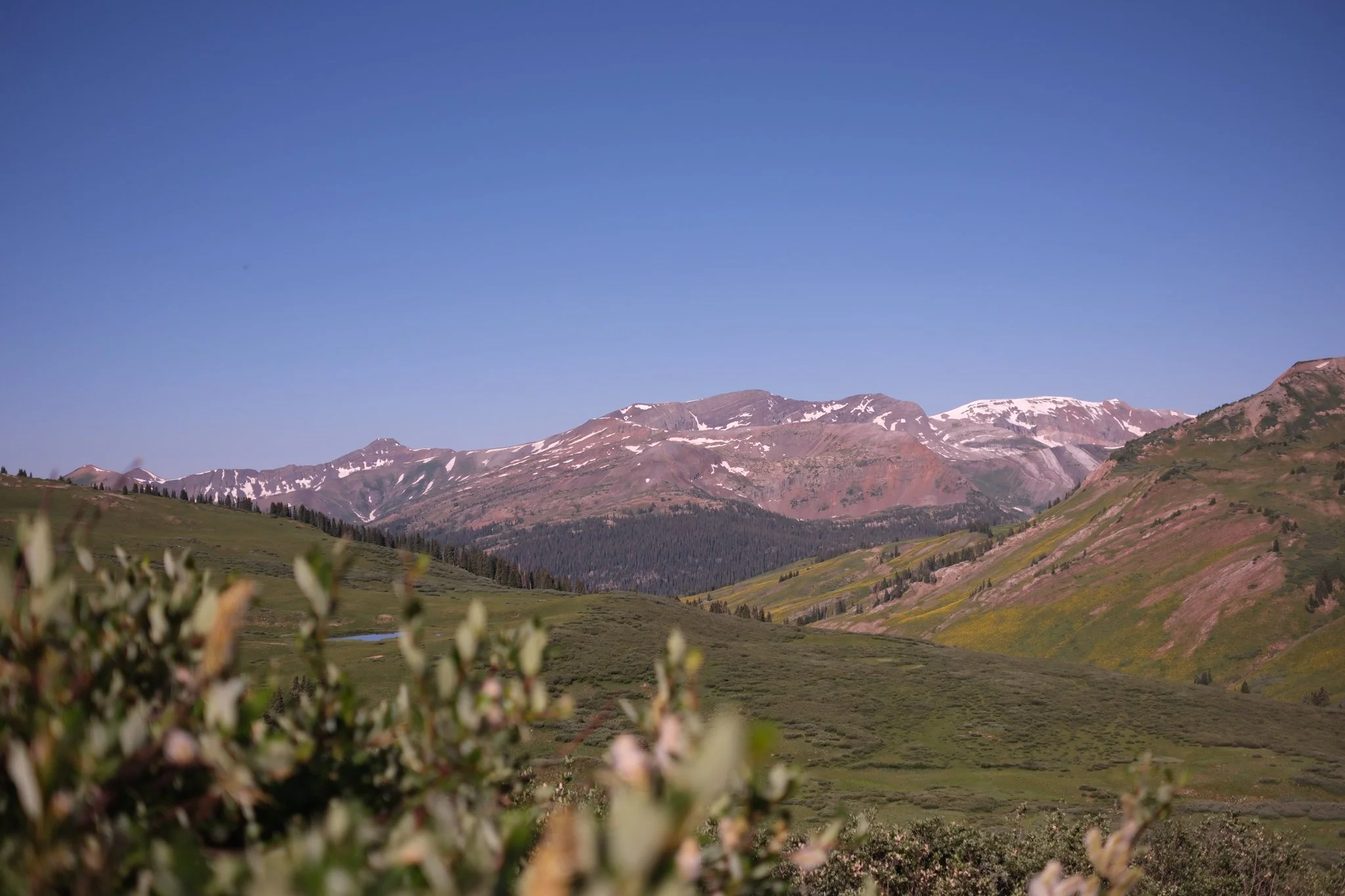DSCF8760.jpg