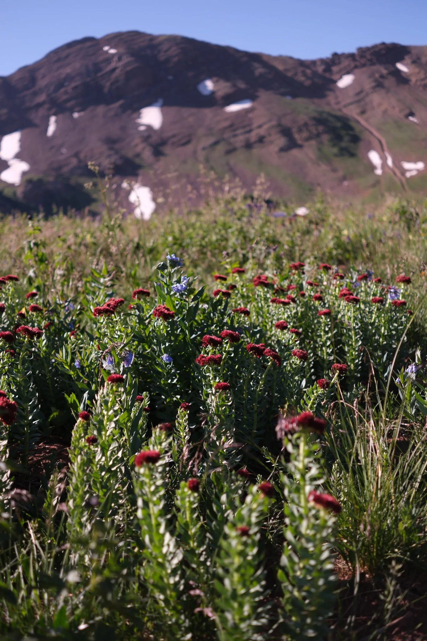 DSCF8767.jpg