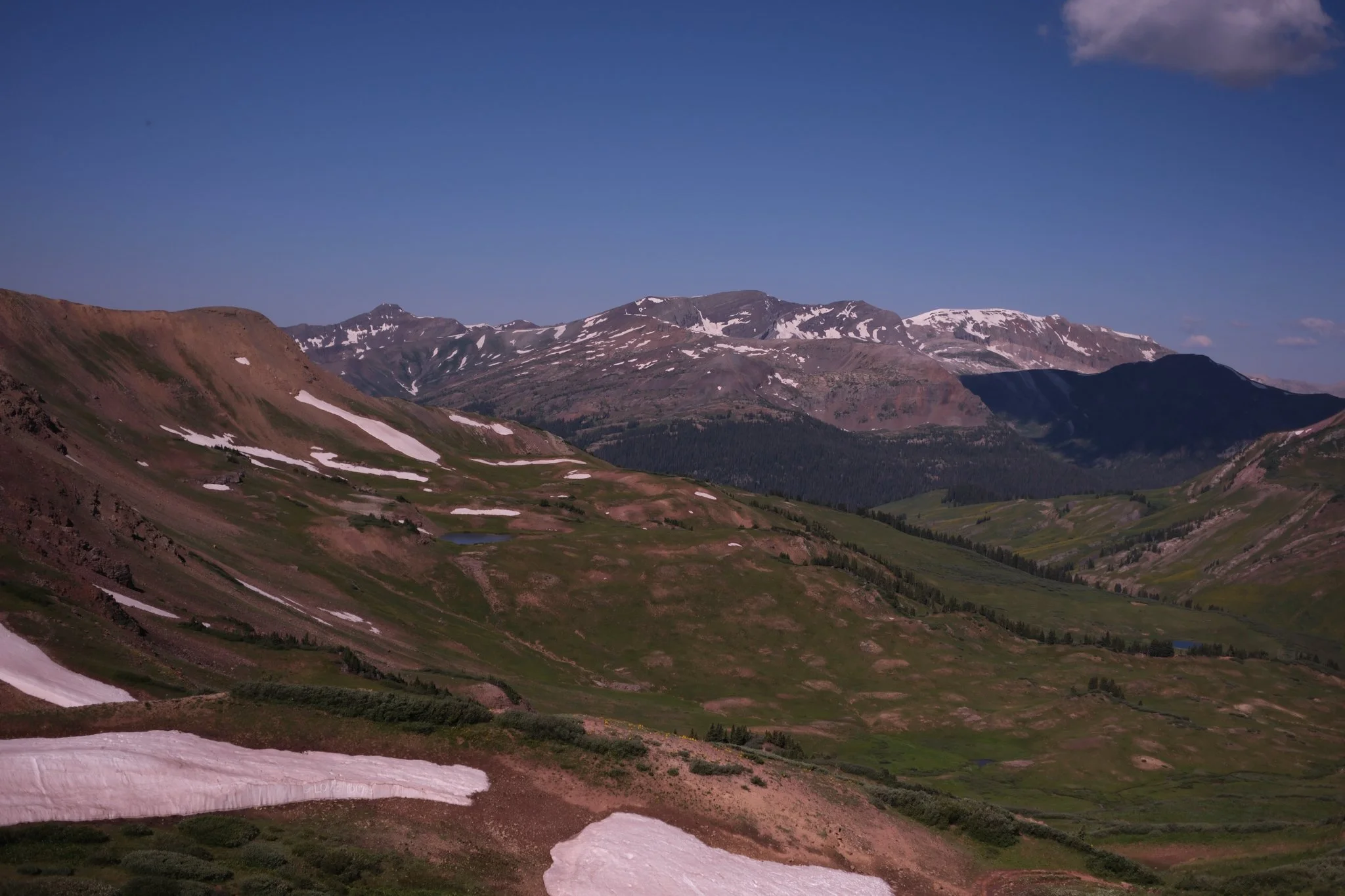 DSCF8780.jpg