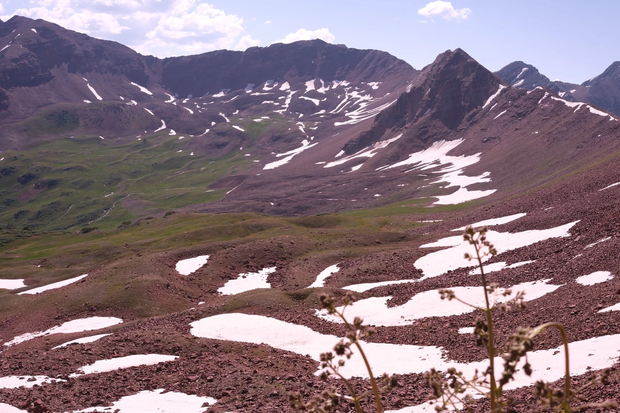 DSCF8830.jpg