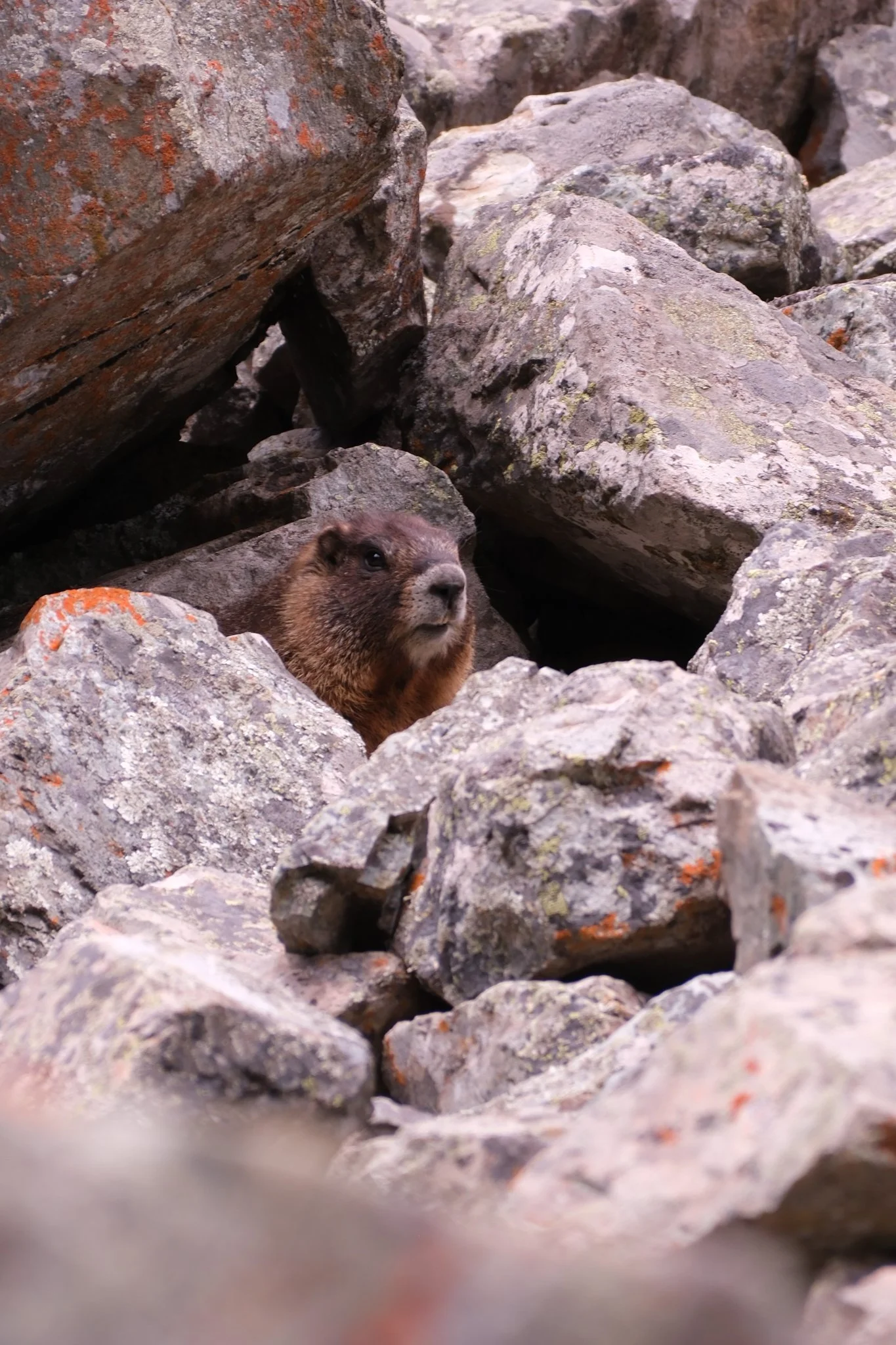 DSCF8868.jpg