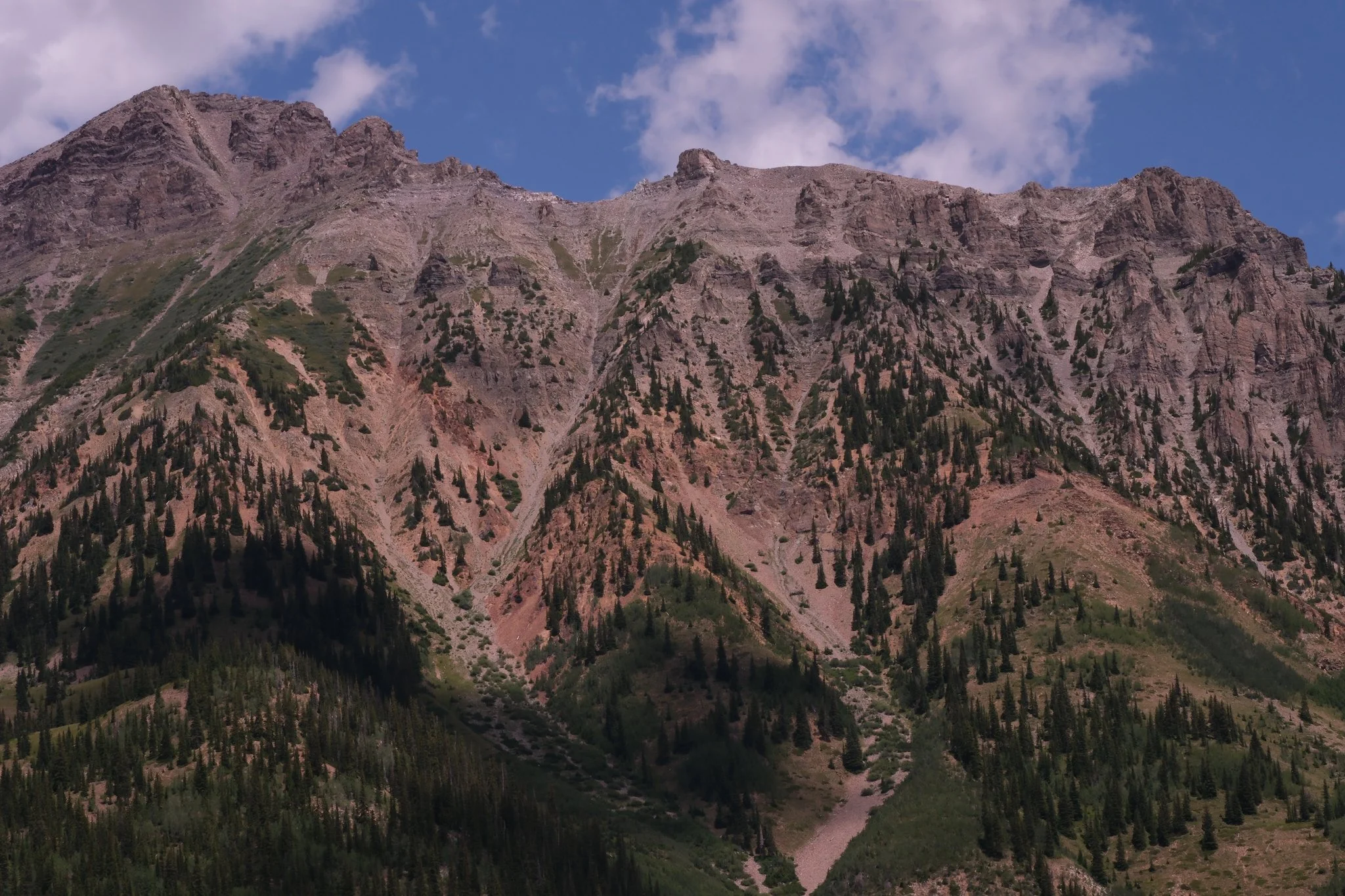 DSCF8881.jpg
