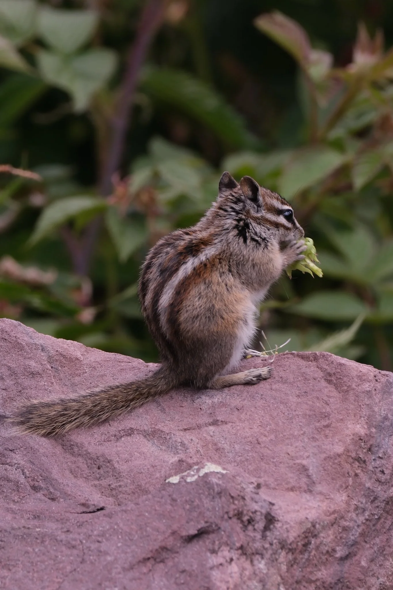 DSCF8886.jpg