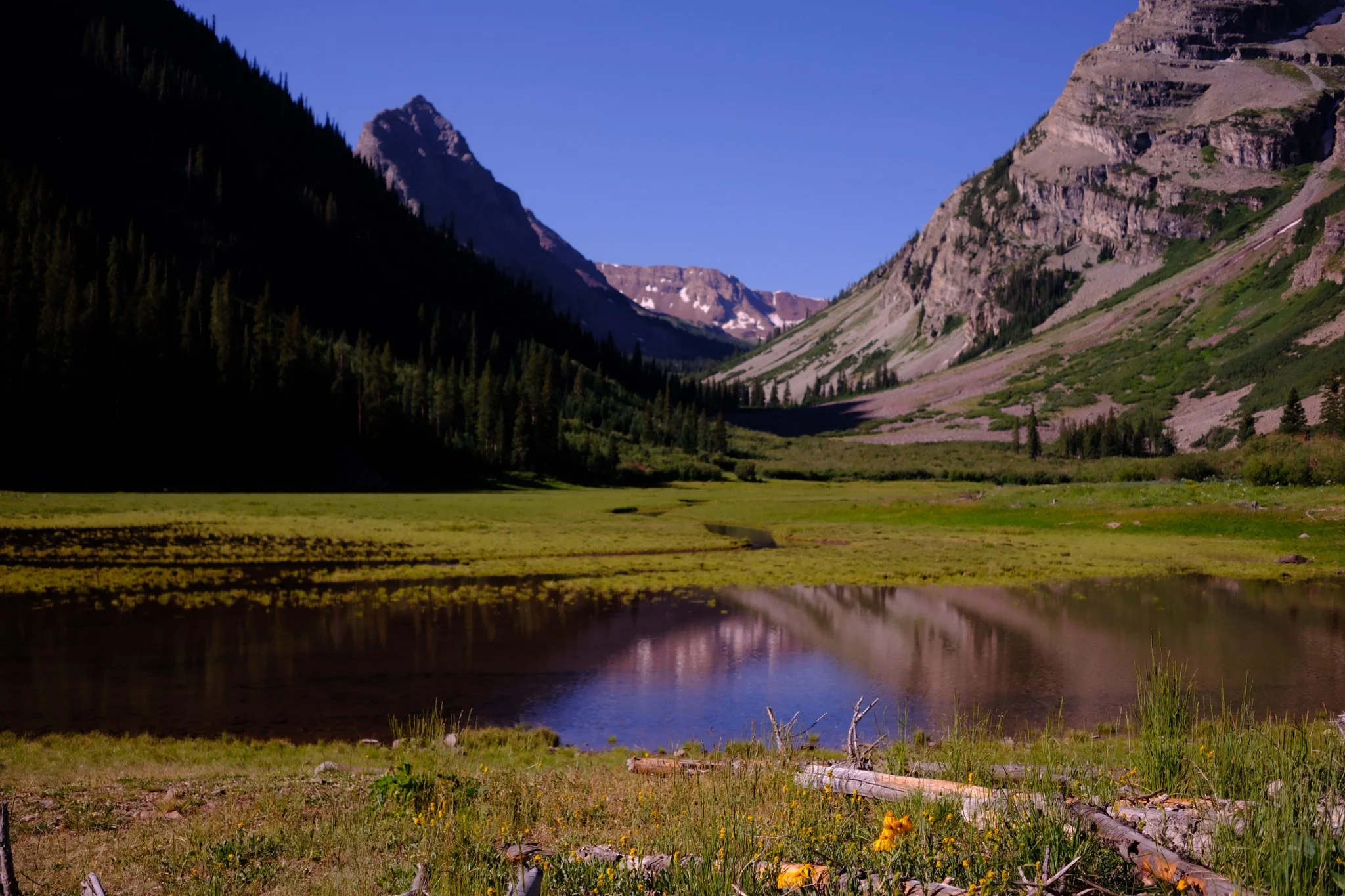 DSCF8978.jpg