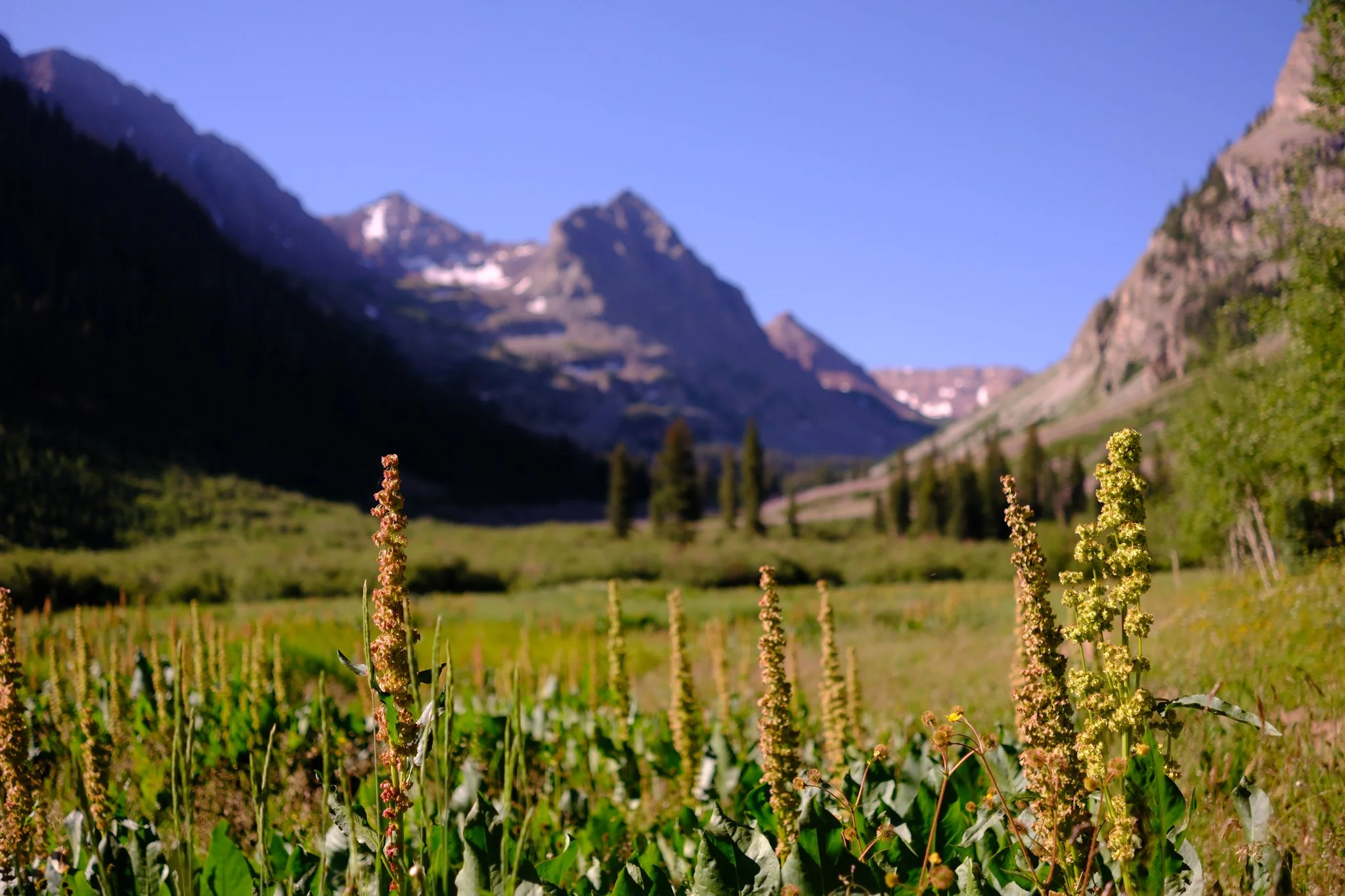DSCF8981.jpg