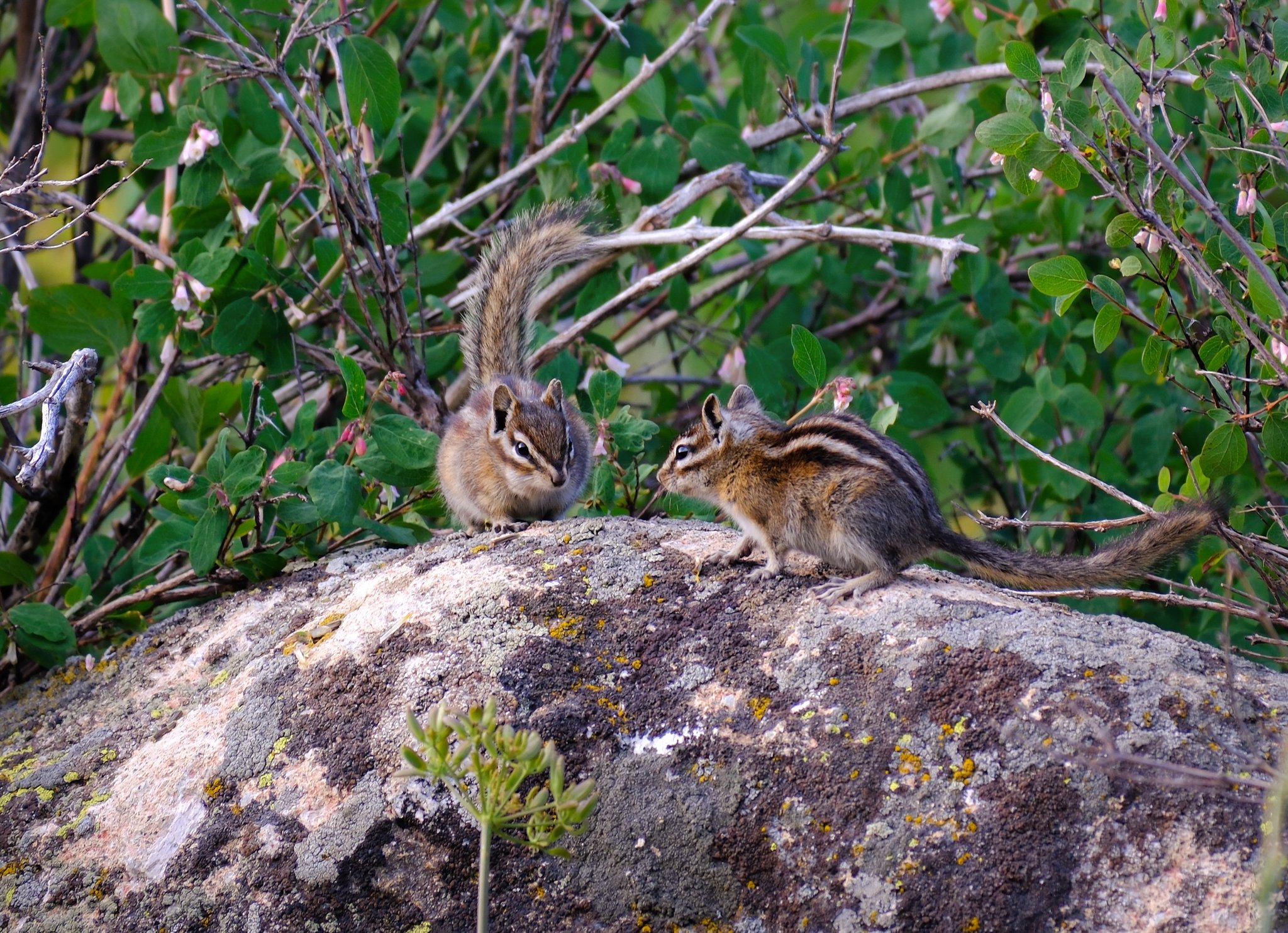 DSCF7837.jpg