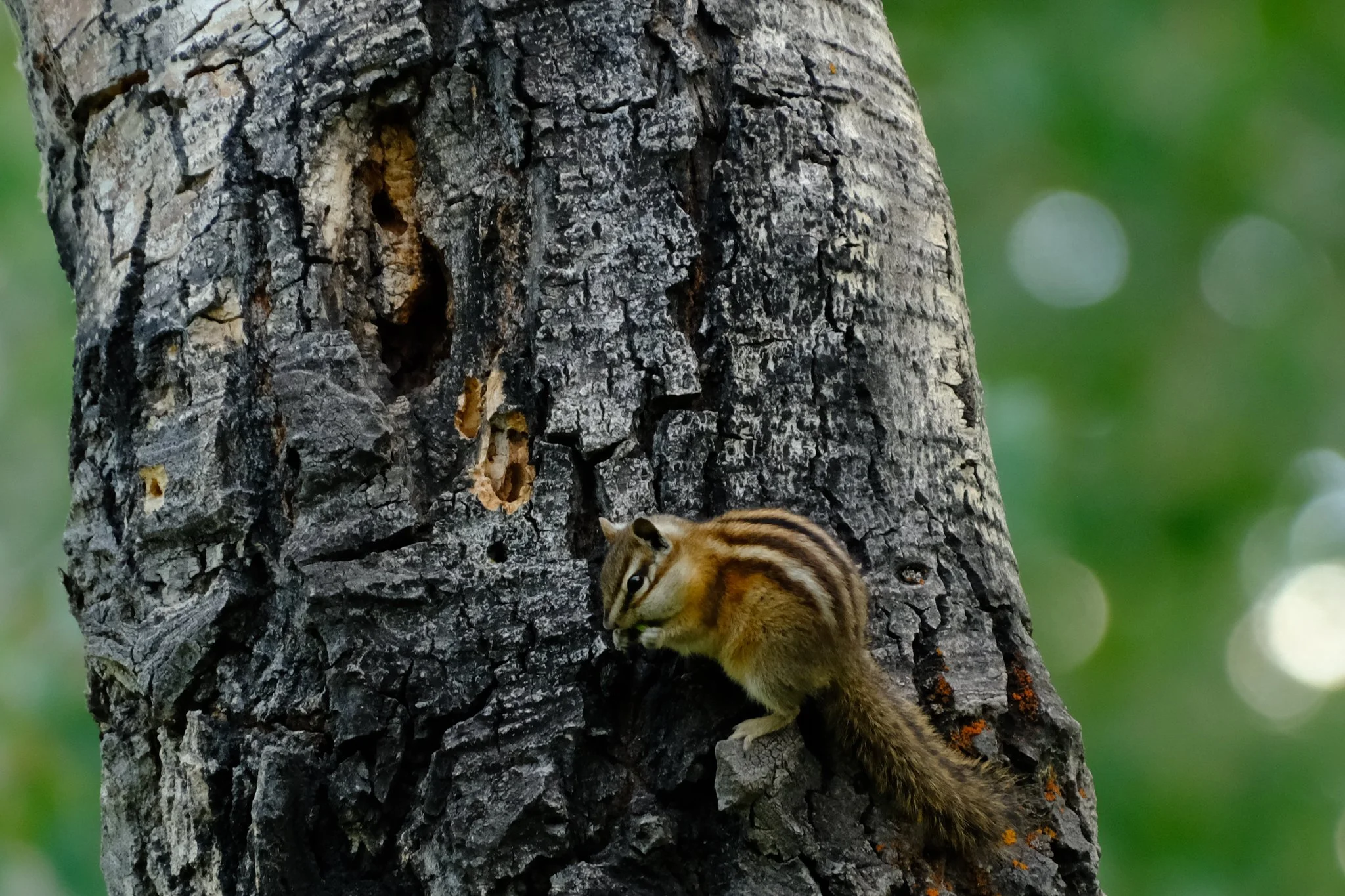 DSCF9449.jpg