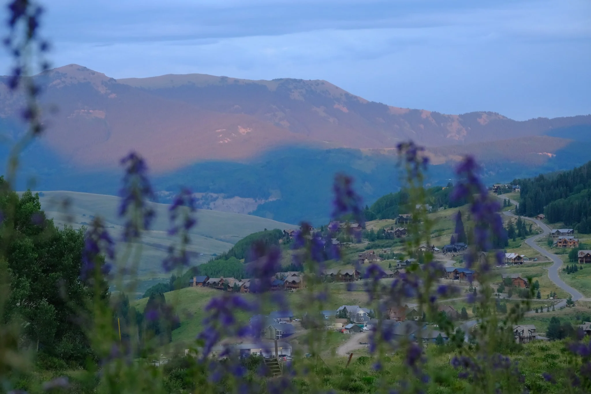 DSCF9493.jpg