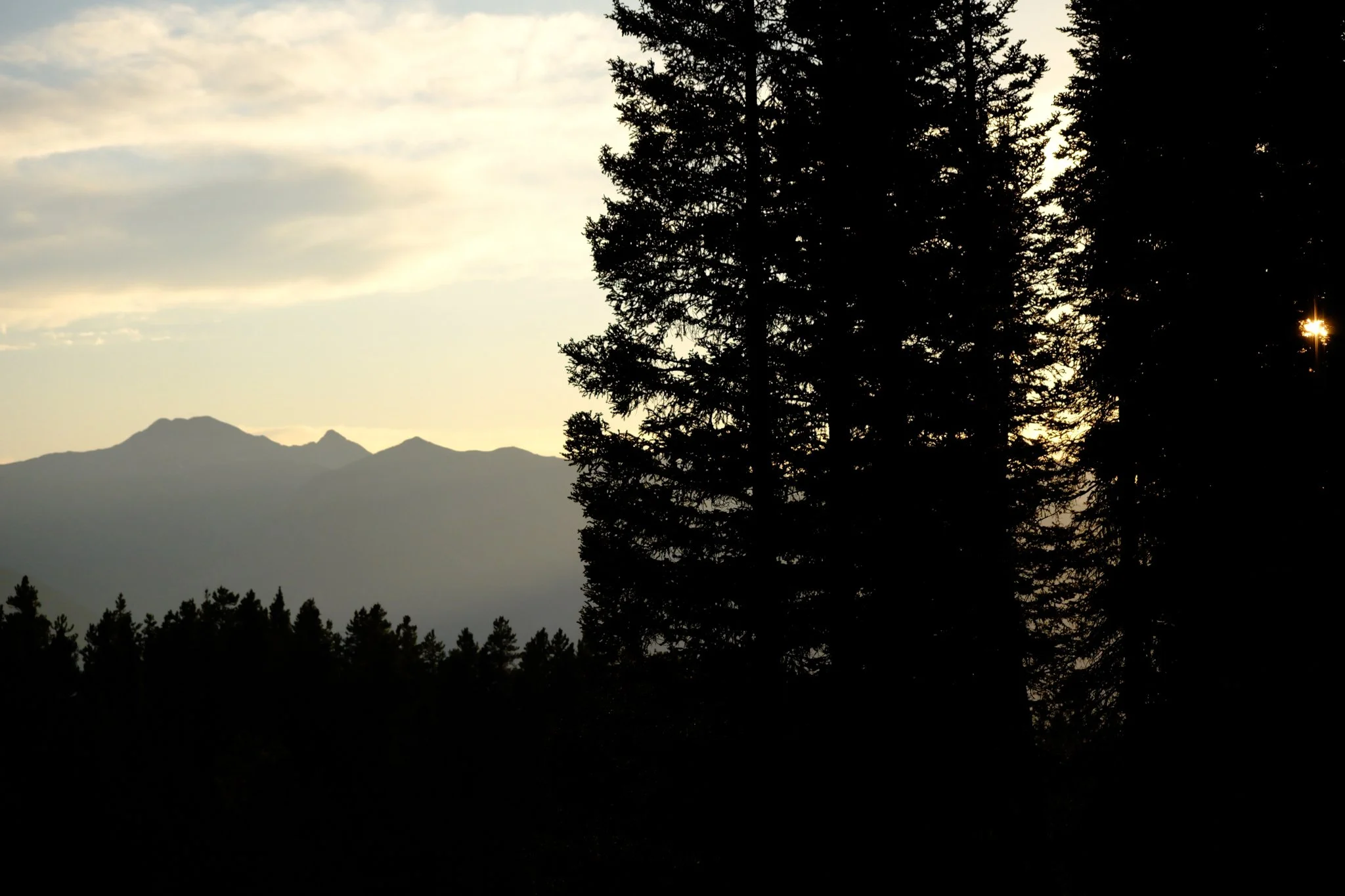 DSCF0144.jpg