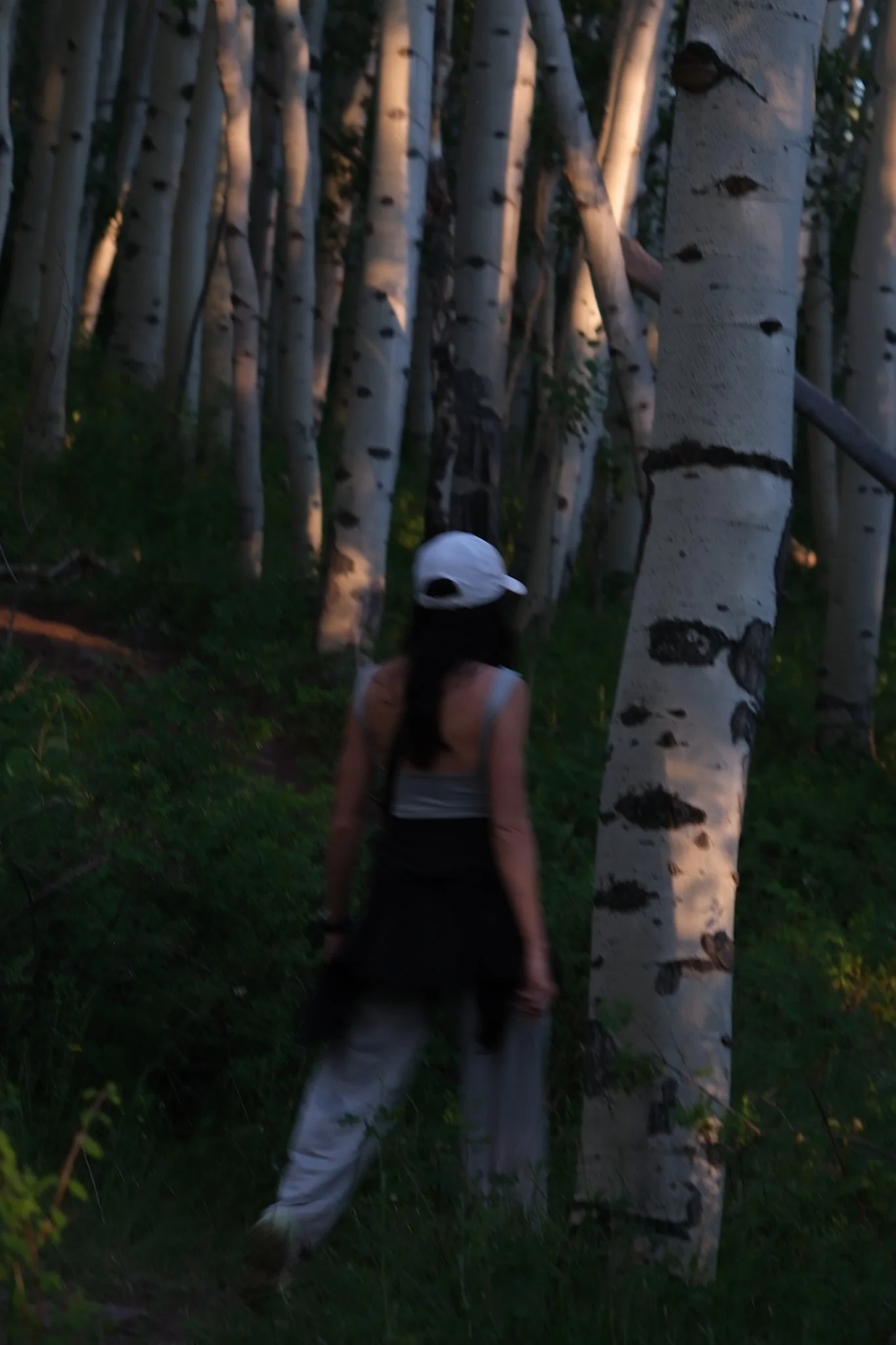 DSCF8639.jpg