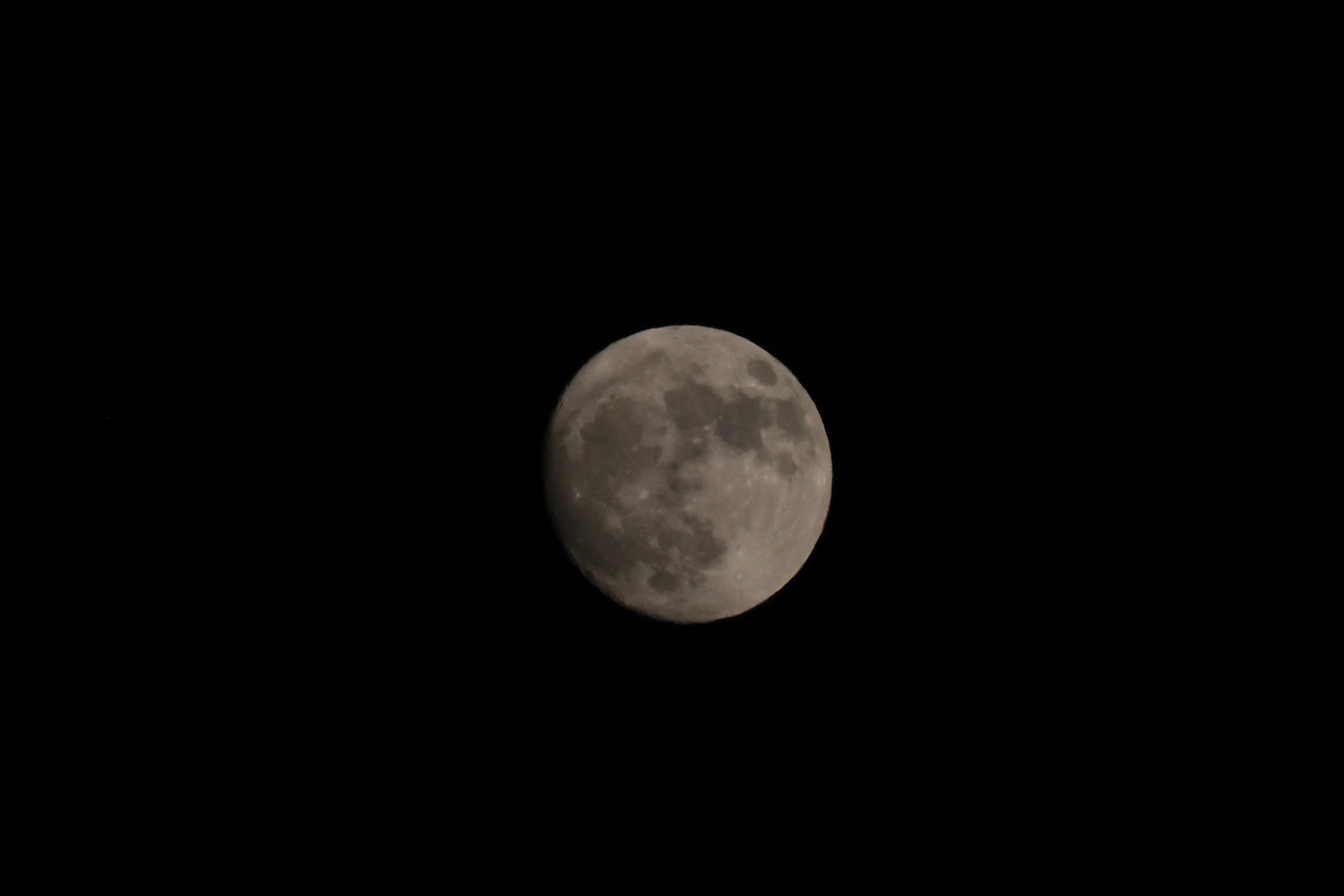 DSCF8668.jpg