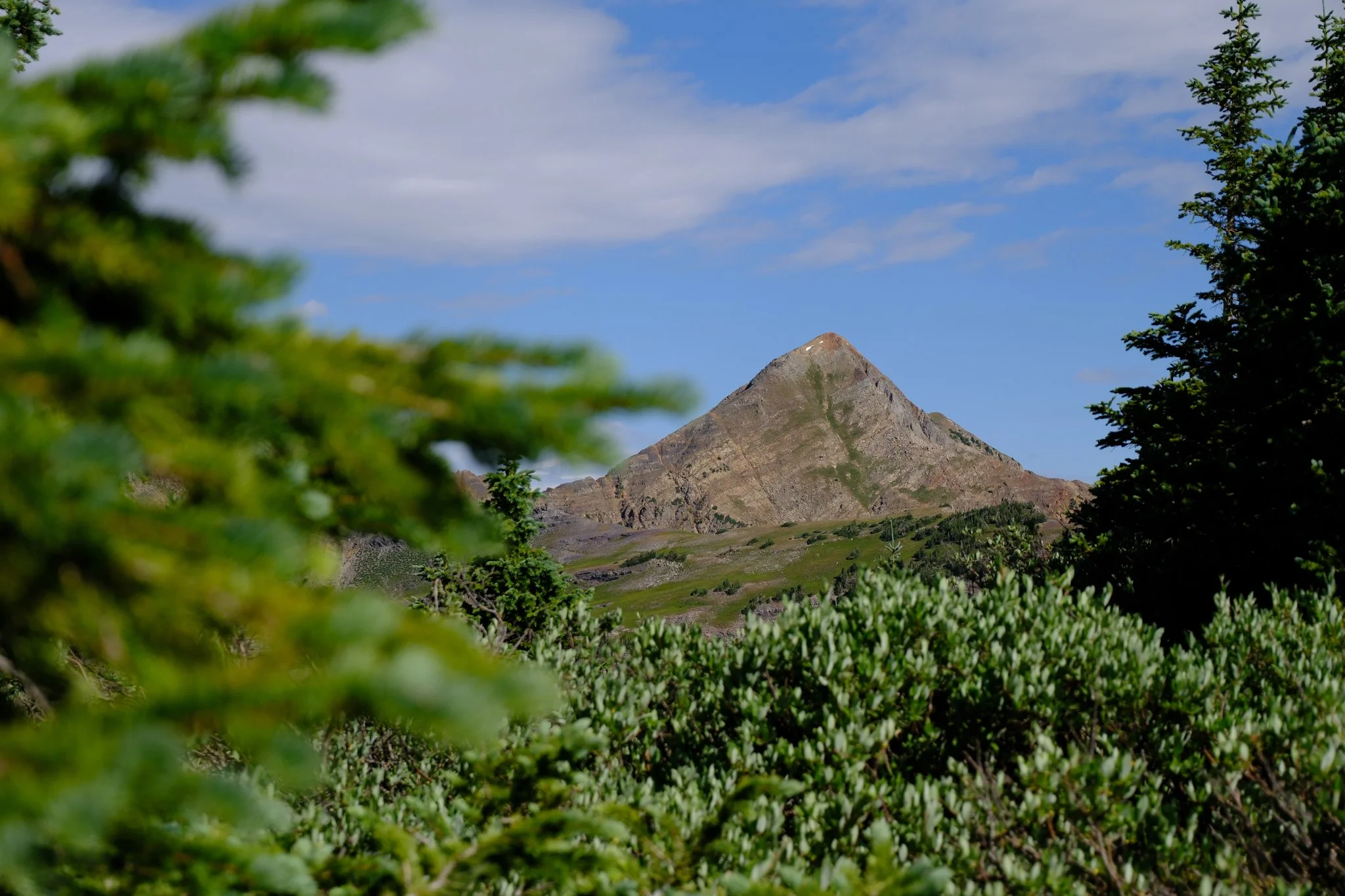DSCF9692.jpg