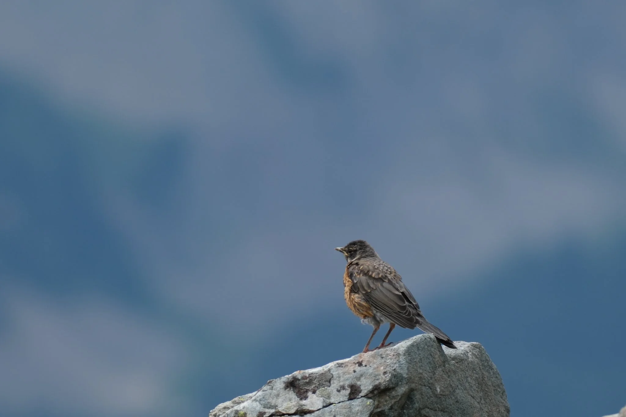 DSCF9753.jpg
