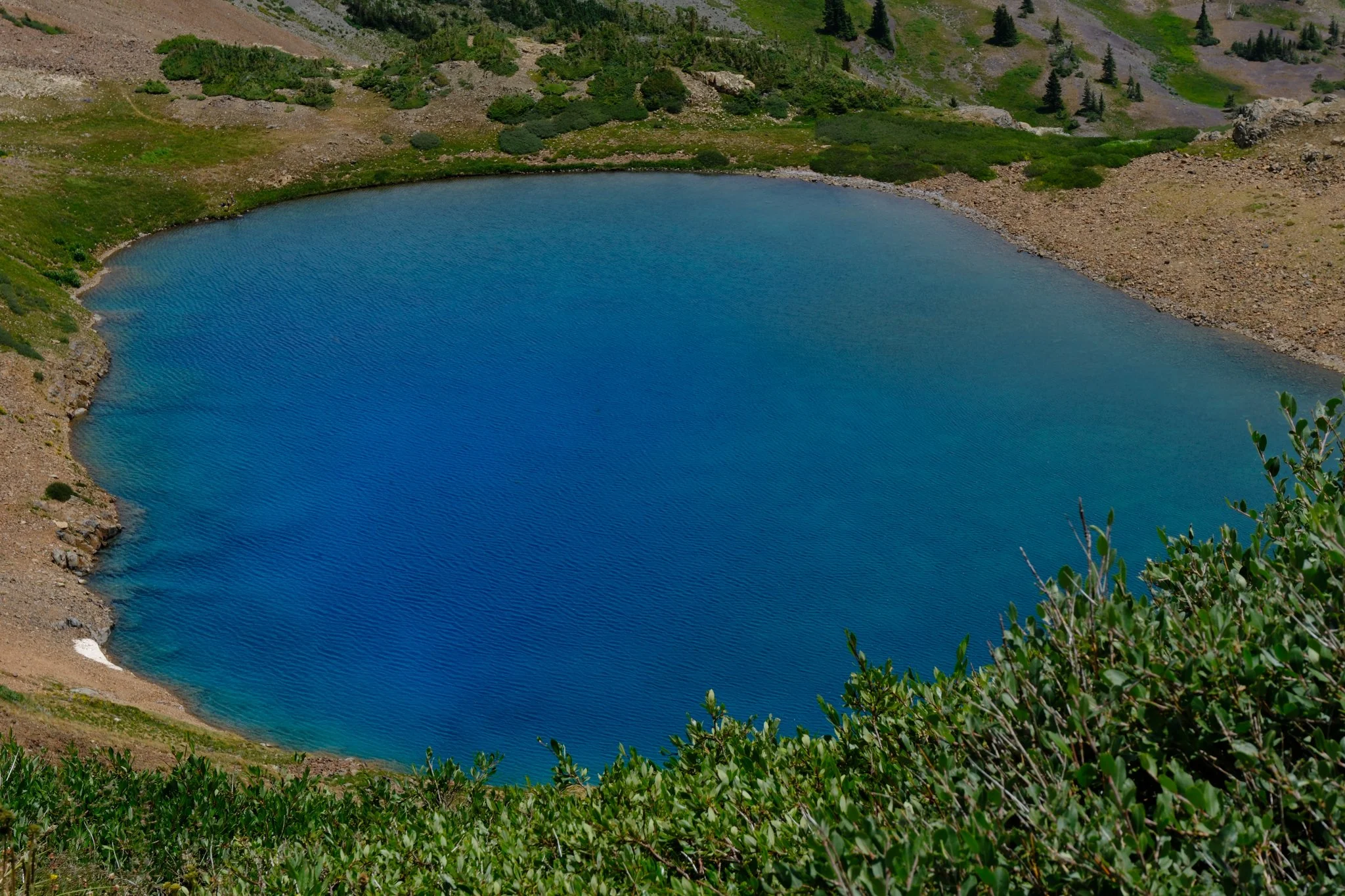 DSCF9799.jpg