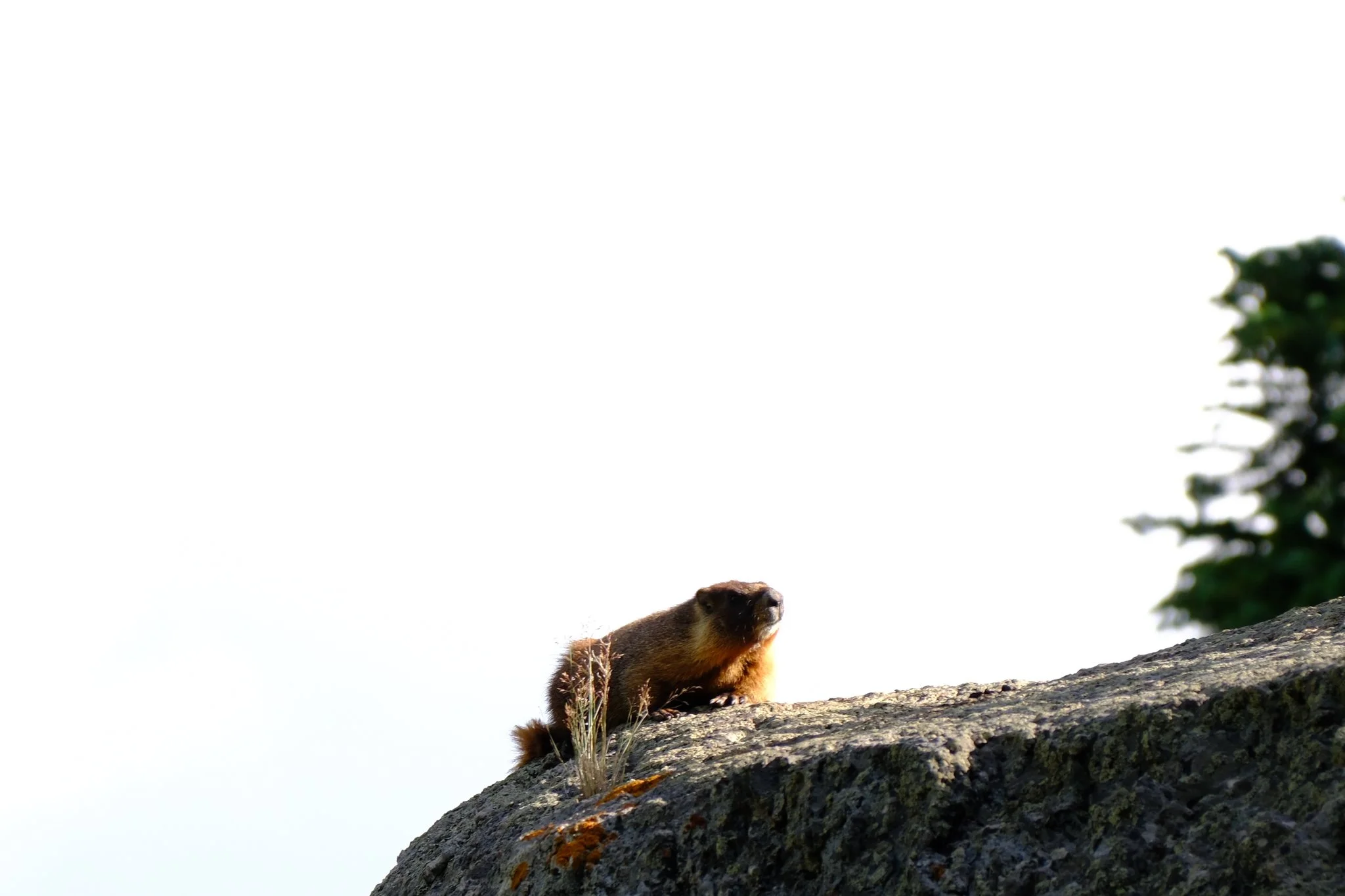 DSCF0106.jpg