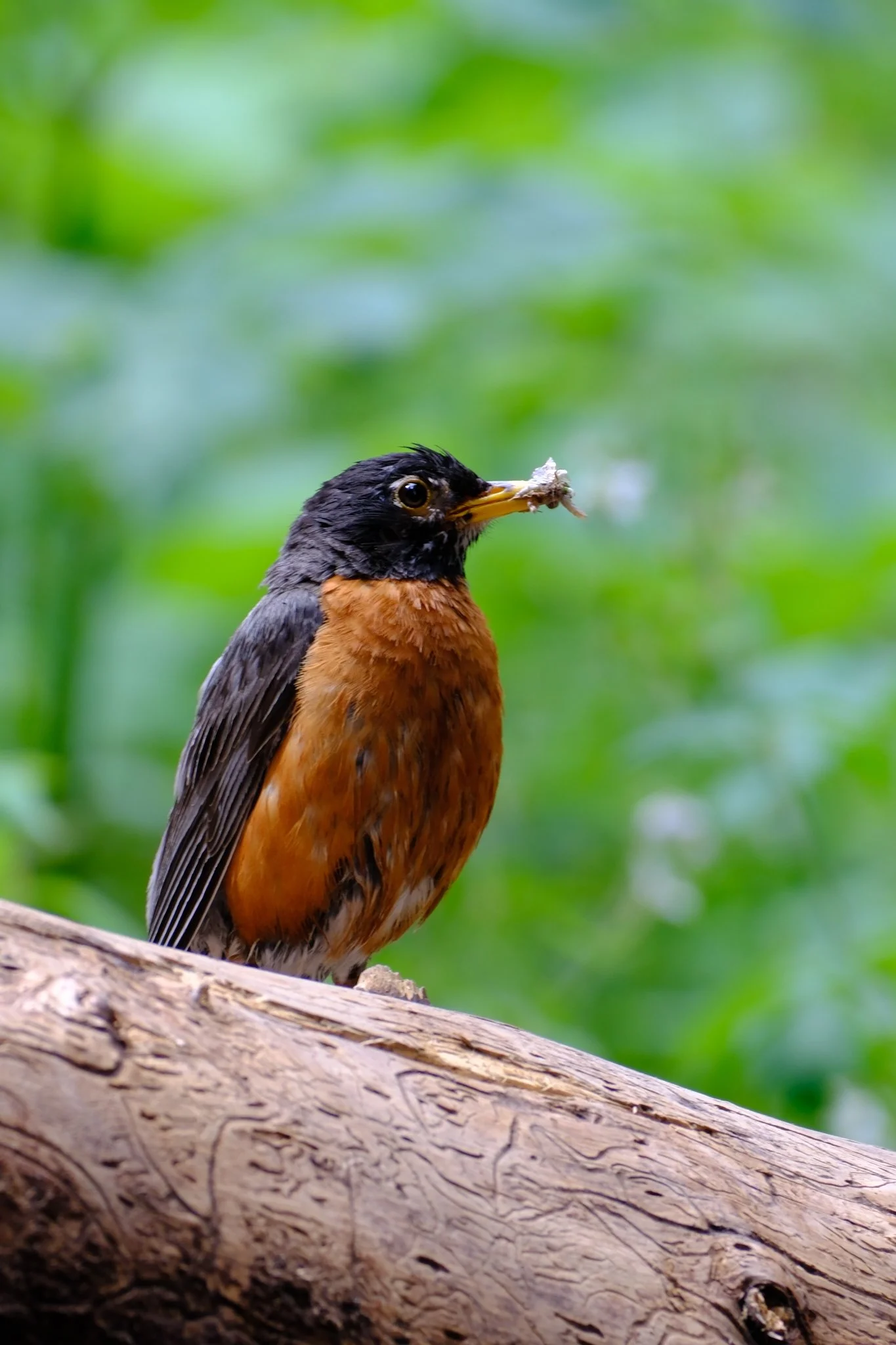 DSCF9850.jpg