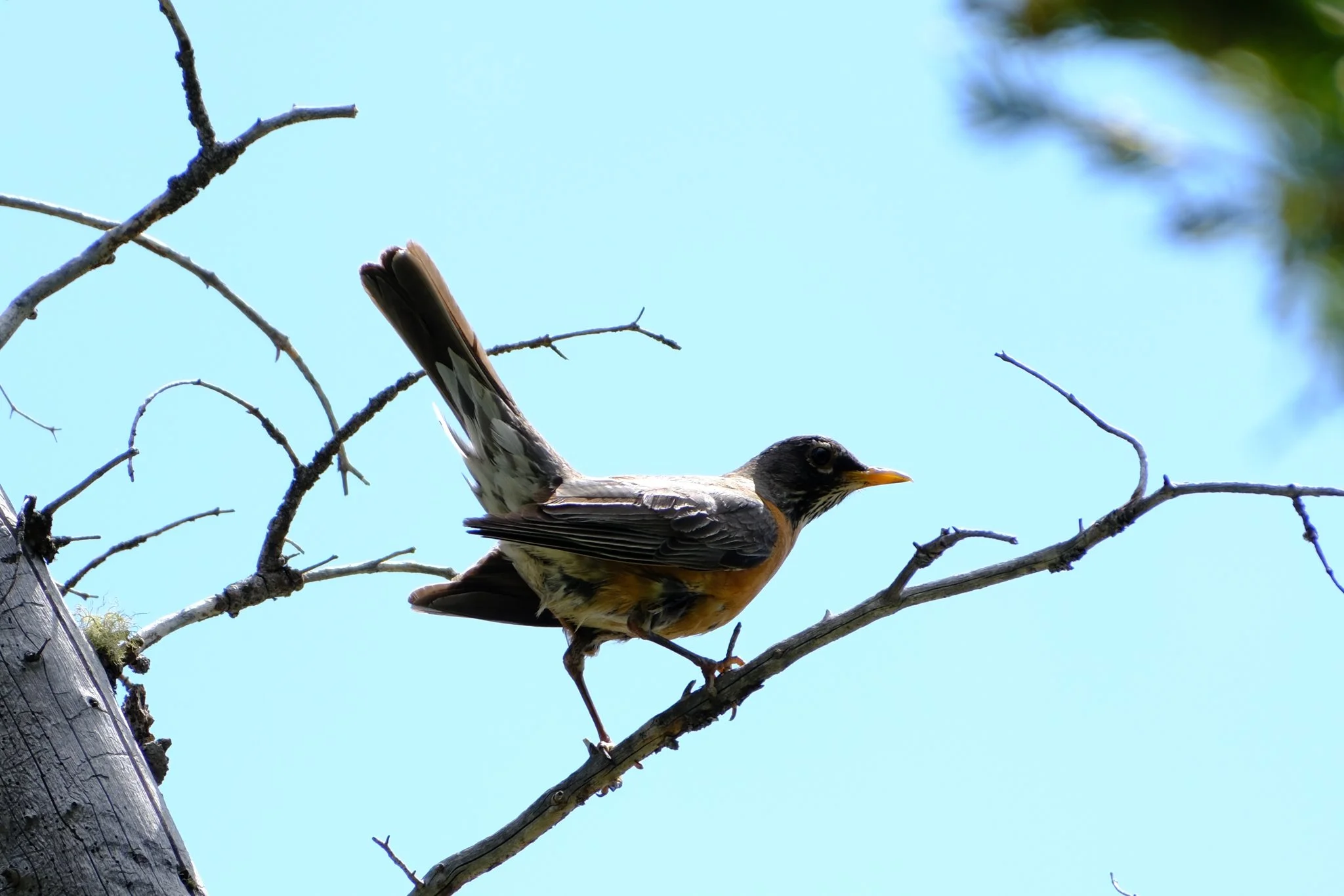 DSCF9919.jpg