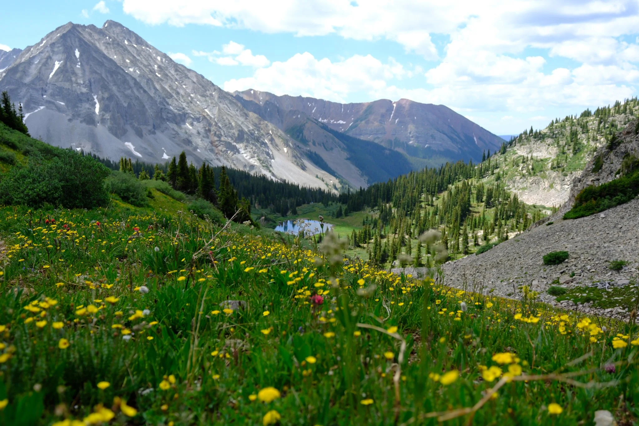 Crested Butte Hikes