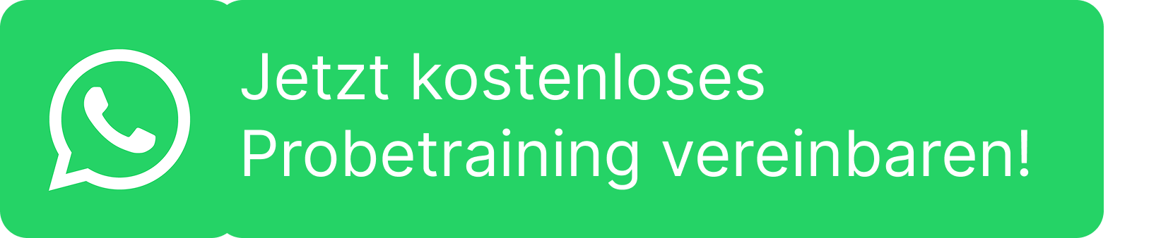 Grünes Banner mit weißem WhatsApp-Logo und deutscher Text: "Jetzt kostenloses Probetraining vereinbaren!"