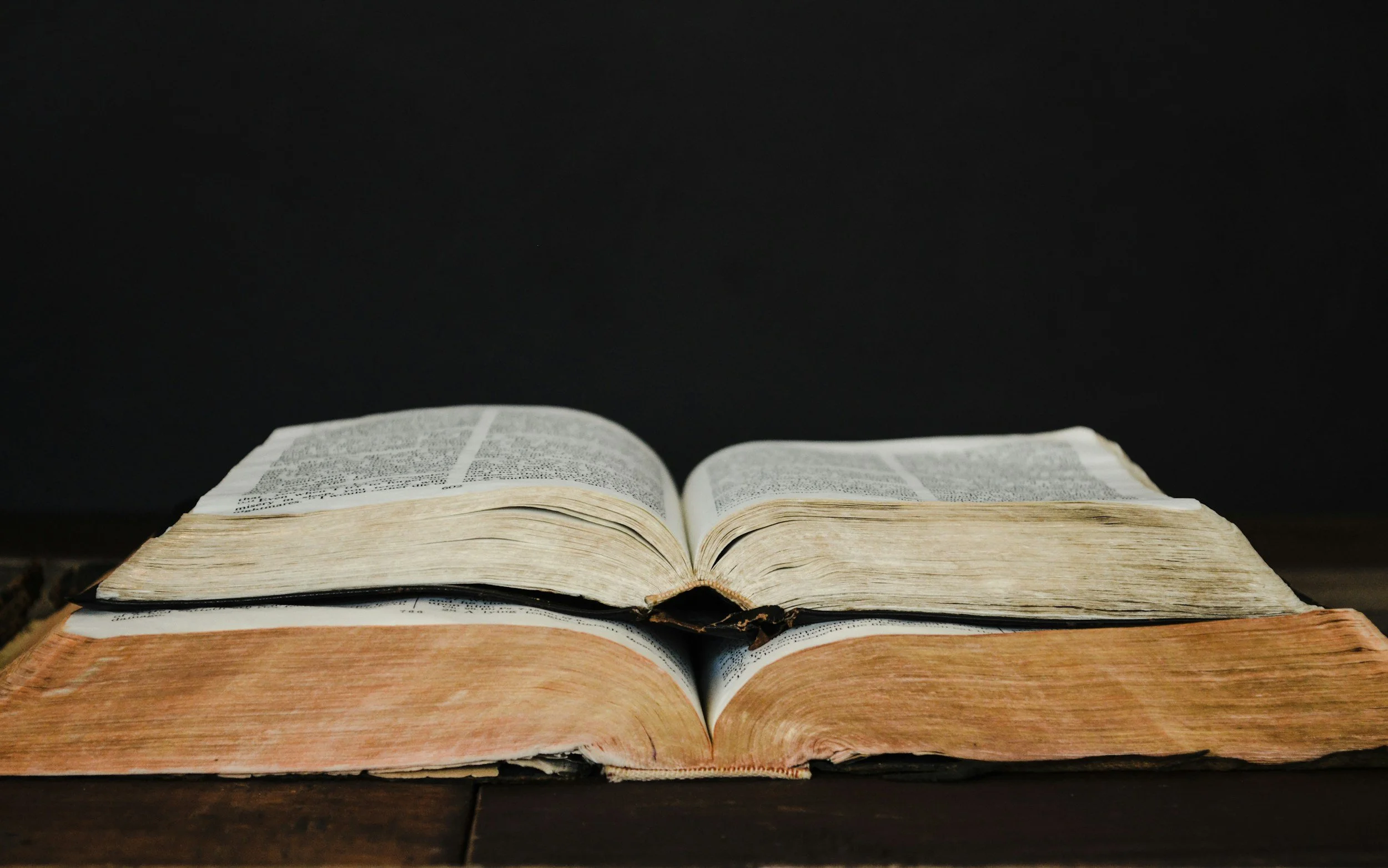 Finding Strength in 1 Peter: Living as a Christian in a Hostile World