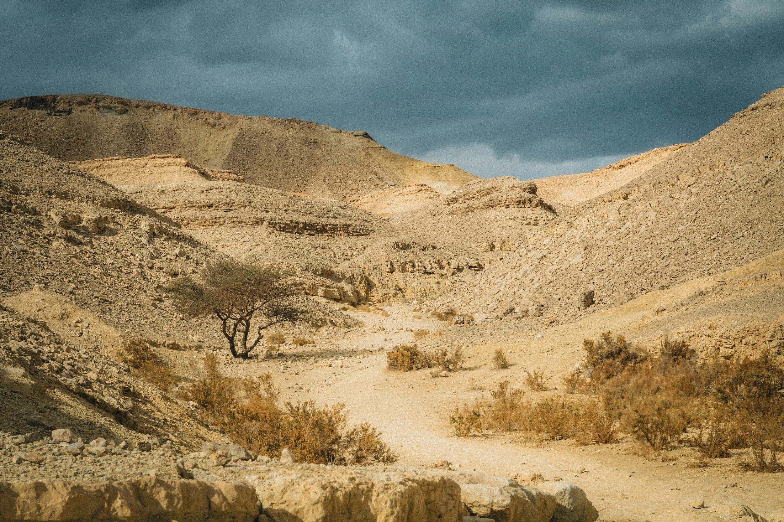 How to Study the Bible’s Wilderness Narratives