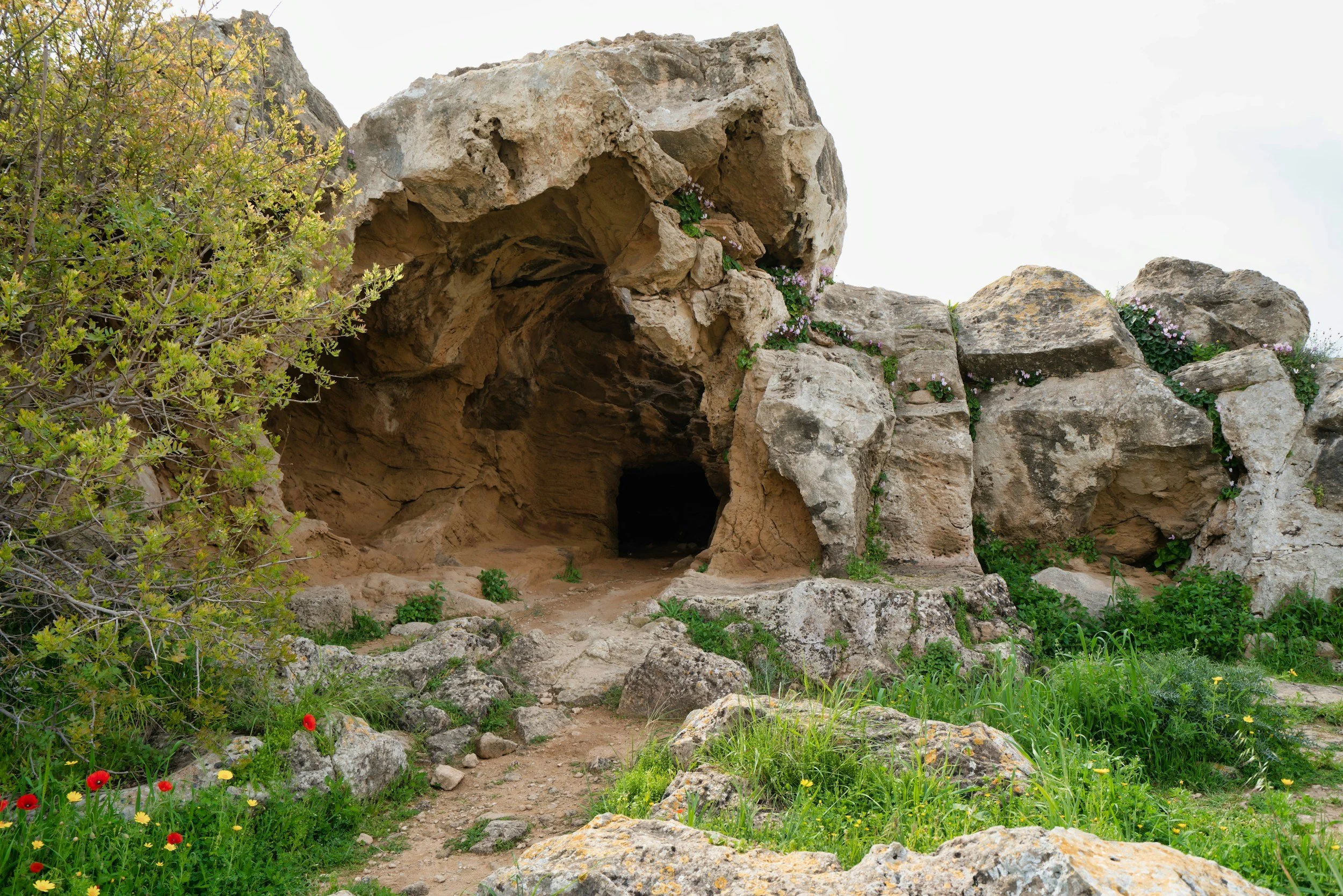 Studying the Resurrection Accounts: Harmonizing the Gospels