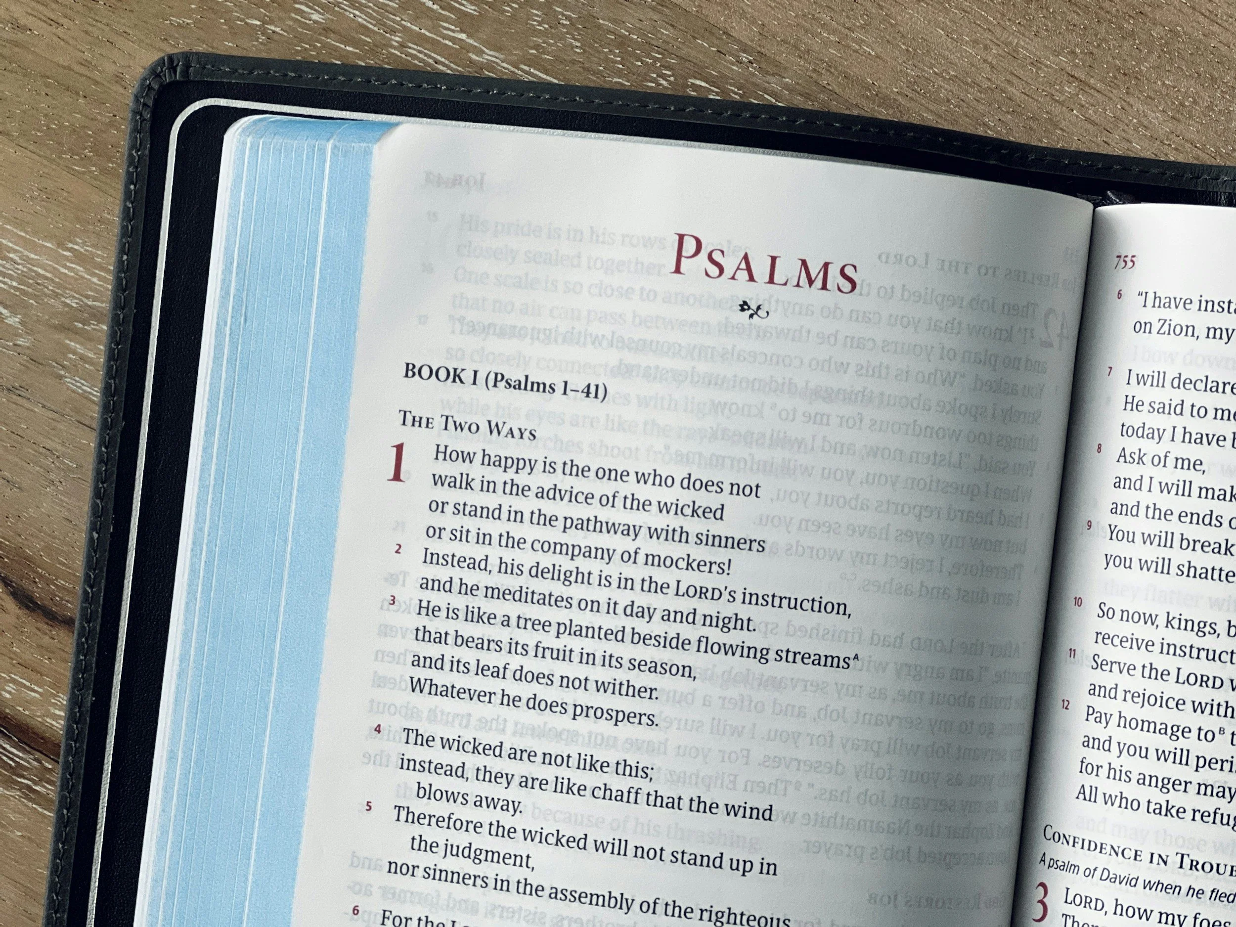 How to Teach the Psalms When Your Group Goes Blank