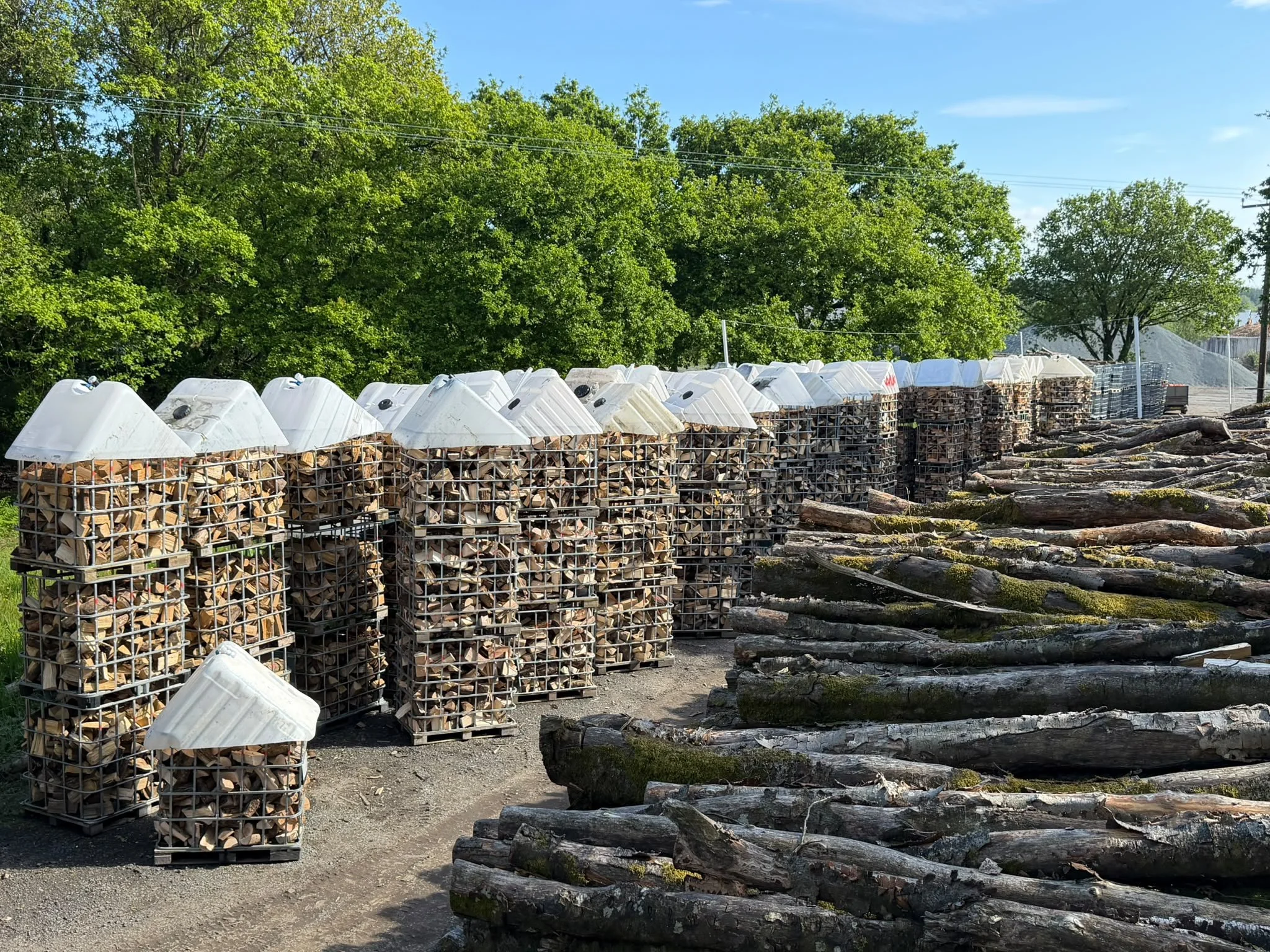 Stacks of cut firewood inside wire cages with white plastic covers in a lumberyard, with tall green trees behind and a clear blue sky above, and logs scattered on the ground.