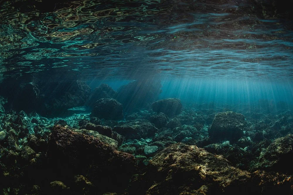 LIQUIDE 🔱
.
Tirages et Impressions disponibles sur le site www.jeromecarenco.com (lien dans la bio).
.
#fineart #galeriedart #art #frenchriviera #mediterranean #aqua #apnea