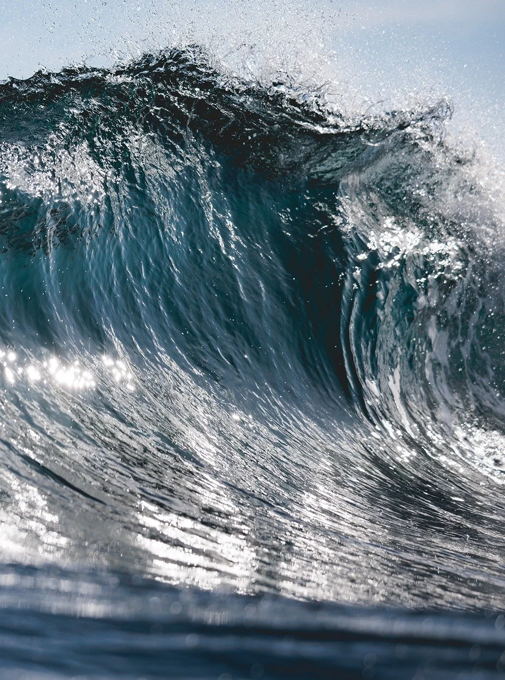 PORTRAIT 🔱
.
www.jeromecarenco.com