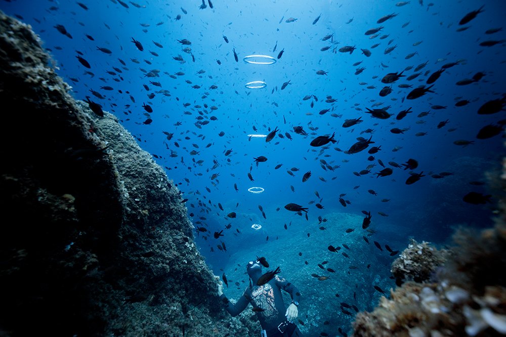 BULLES d'un POS&Eacute;IDON 🔱
avec @mifsudstephane record du monde en apn&eacute;e statique 11'35s.
.
"Dans le domaine de l'intelligence, la vertu d'humilit&eacute; n'est pas autre chose que le pouvoir d'attention."
La Pesanteur et la Gr&a