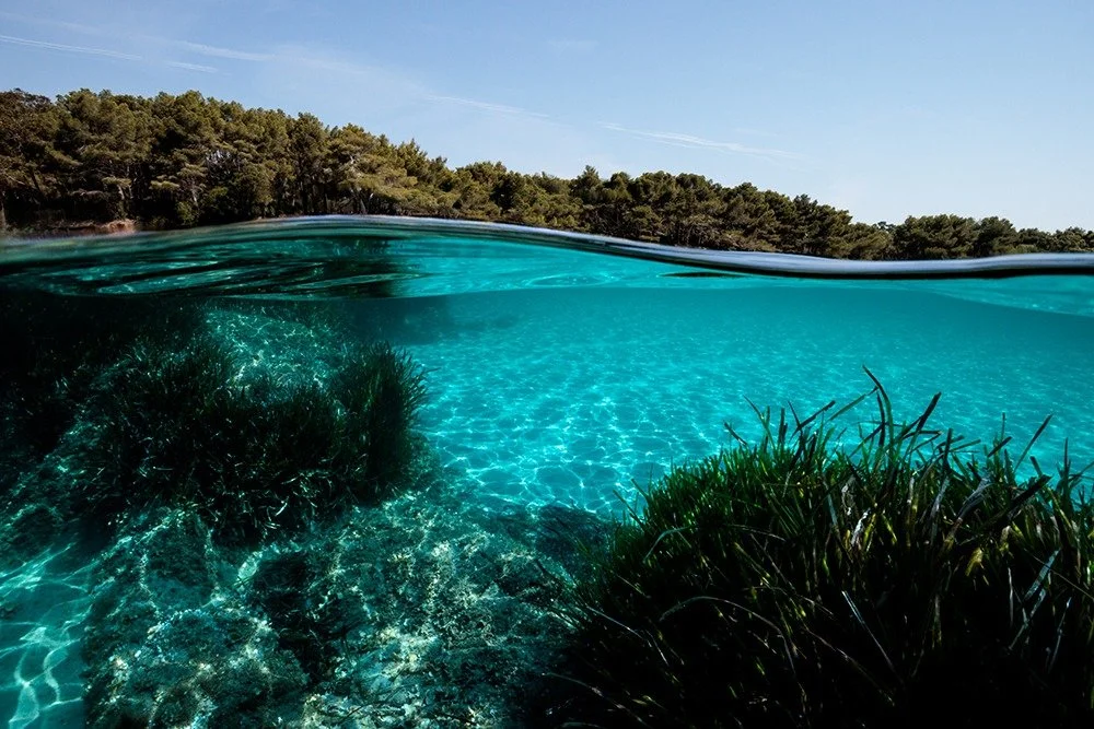 MA(MAN) MED 🔱
www.jeromecarenco.com
.
"La nostalgie du Paradis, c'est le d&eacute;sir de l'homme de ne pas &ecirc;tre homme."
L'insoutenable l&eacute;g&egrave;ret&eacute; de l'&ecirc;tre - Milan Kundera.
.
#mediterr&aacute;neo #aqua #merme