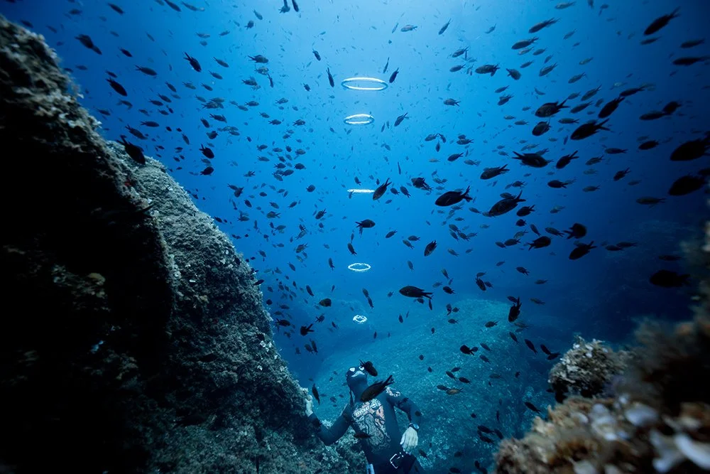 BULLES d'un POS&Eacute;IDON 🔱
avec @mifsudstephane record du monde en apn&eacute;e statique 11'35s.
.
"Dans le domaine de l'intelligence, la vertu d'humilit&eacute; n'est pas autre chose que le pouvoir d'attention."
La Pesanteur et la Gr&a