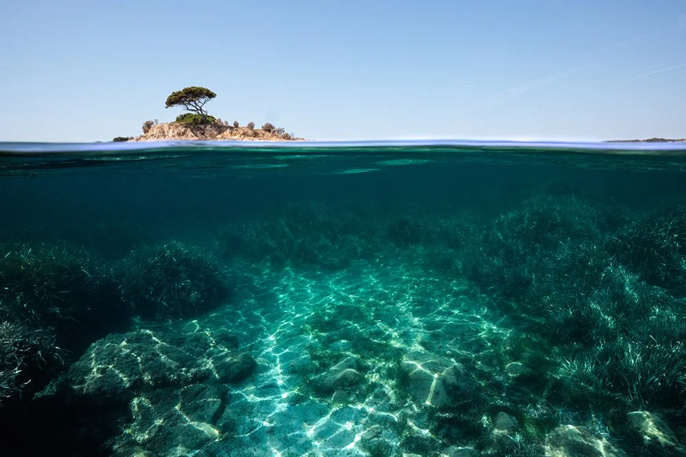 R&Ecirc;VE 🔱
www.jeromecarenco.com
.
"On est tous &agrave; la recherche d'une fronti&egrave;re, une ligne claire entre le r&ecirc;ve et la r&eacute;alit&eacute;."
L'auberge des pauvres - Tahar Ben Jelloun.
.
#fineart #mediterraneo #galerie