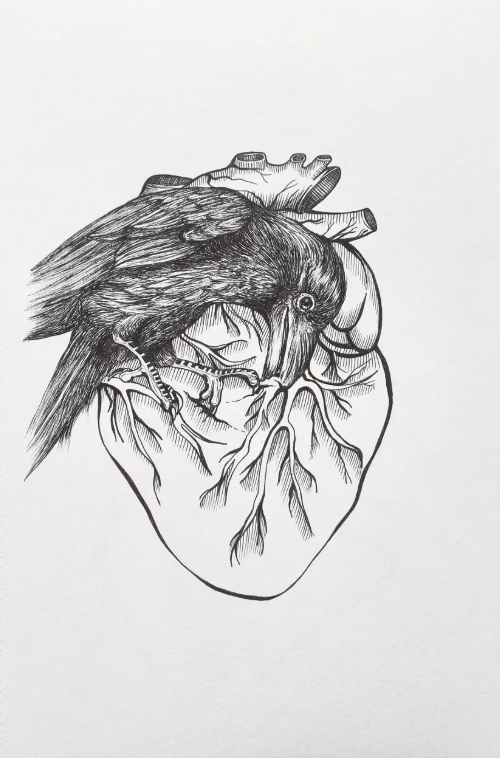 Screenshot 2025-12-29 205057.png