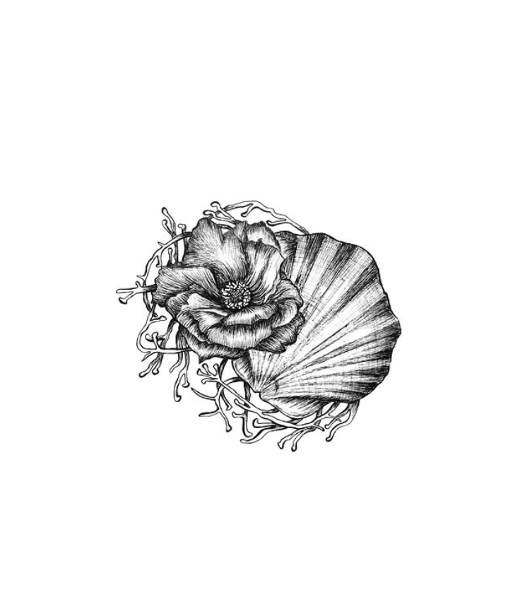 Screenshot 2025-12-29 214217.png